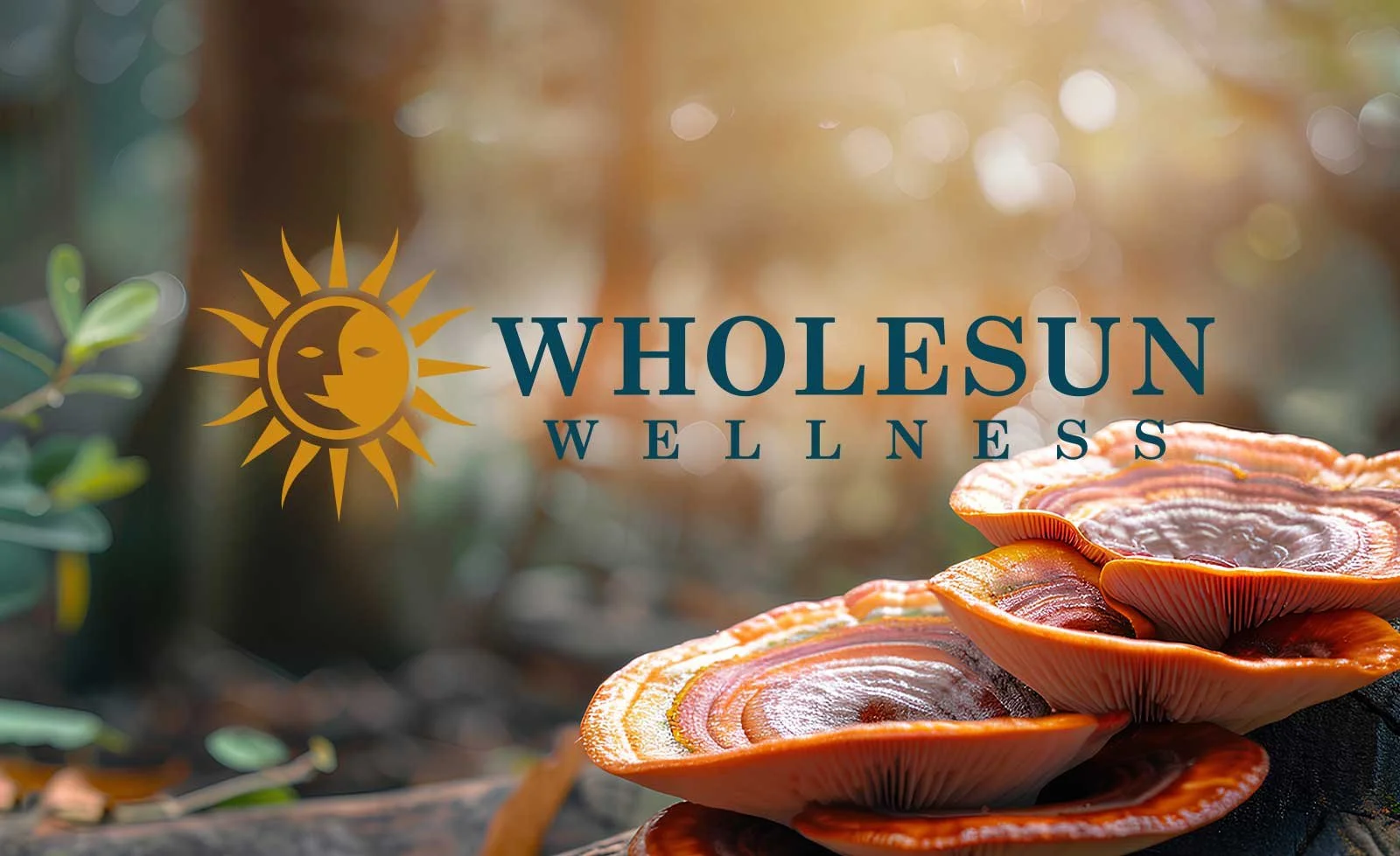 Logo for Whole Sun Wellness with a sun and moon face illustration and fall-colored mushrooms in a natural outdoor setting.