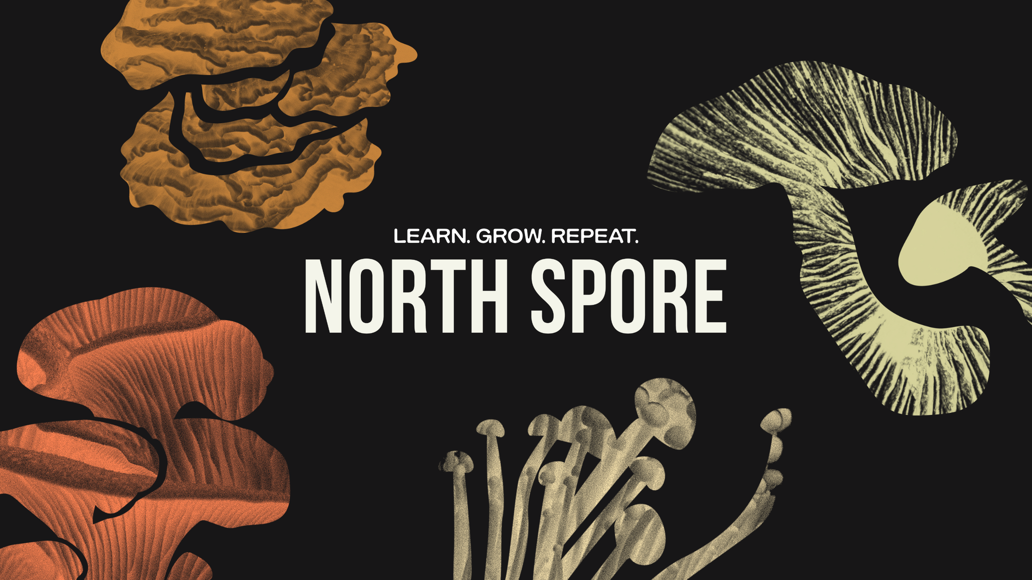 Different types of mushrooms arranged around the words 'Learn. Grow. Repeat. North Spore' on a black background.
