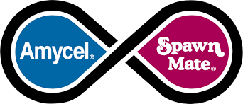 Logo combining Amycel and Spawn Mate with an infinity symbol in between