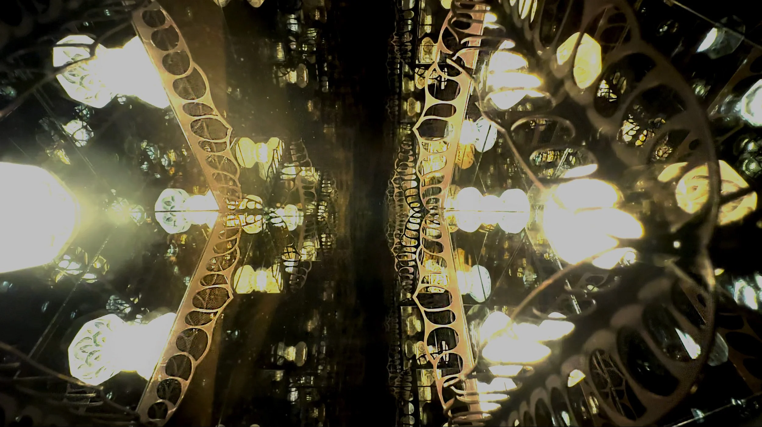 Lotus of Enlightenment_02.jpg
