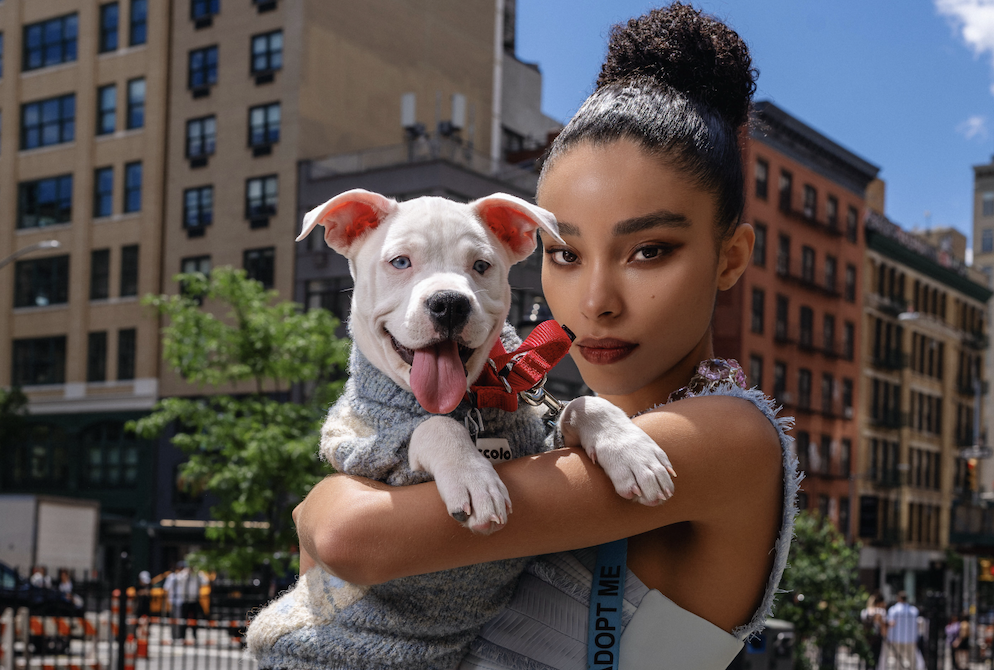 Flying Solo x Animal Haven