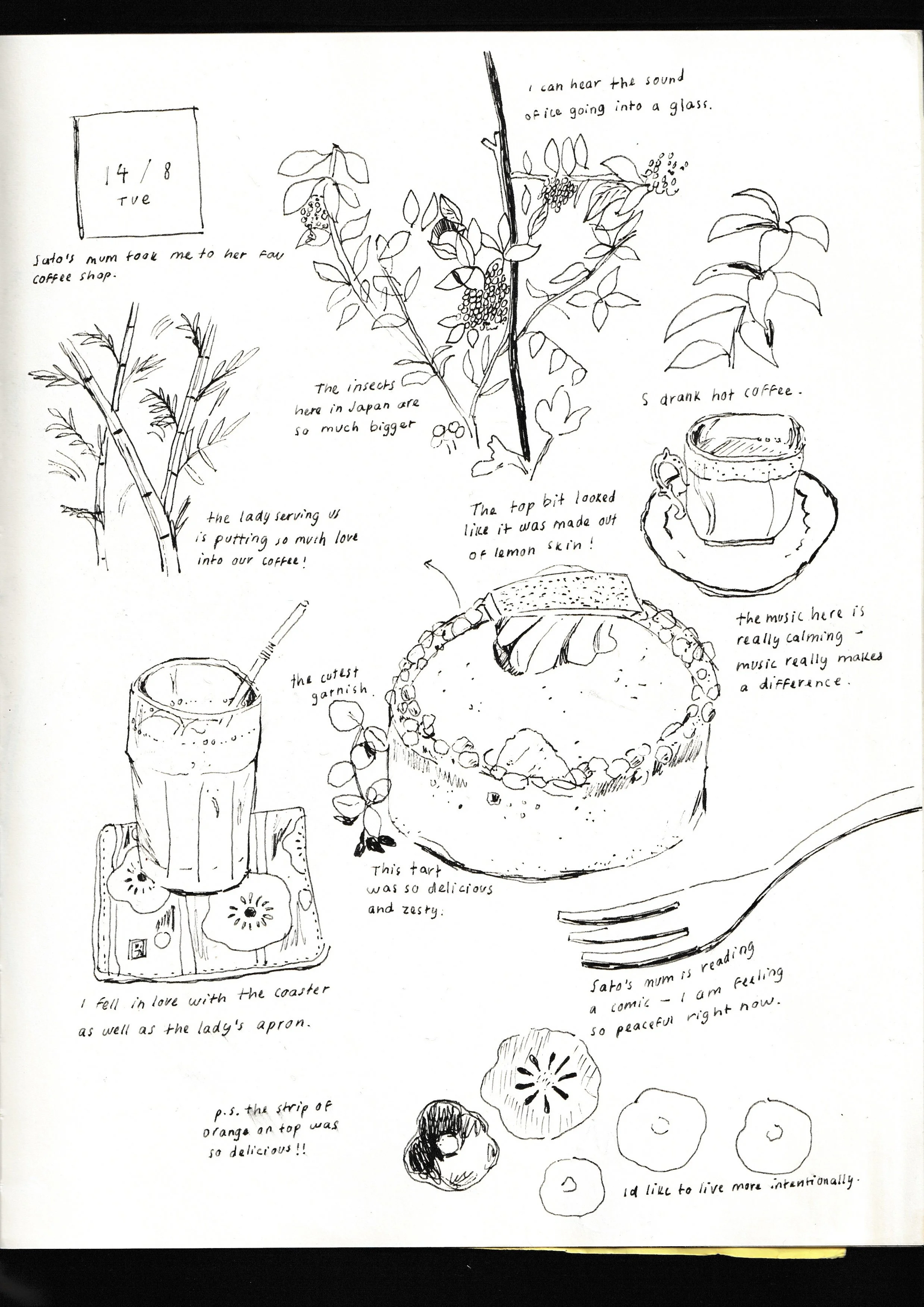 f8eed621ff99f31372af185590549449 2.JPG