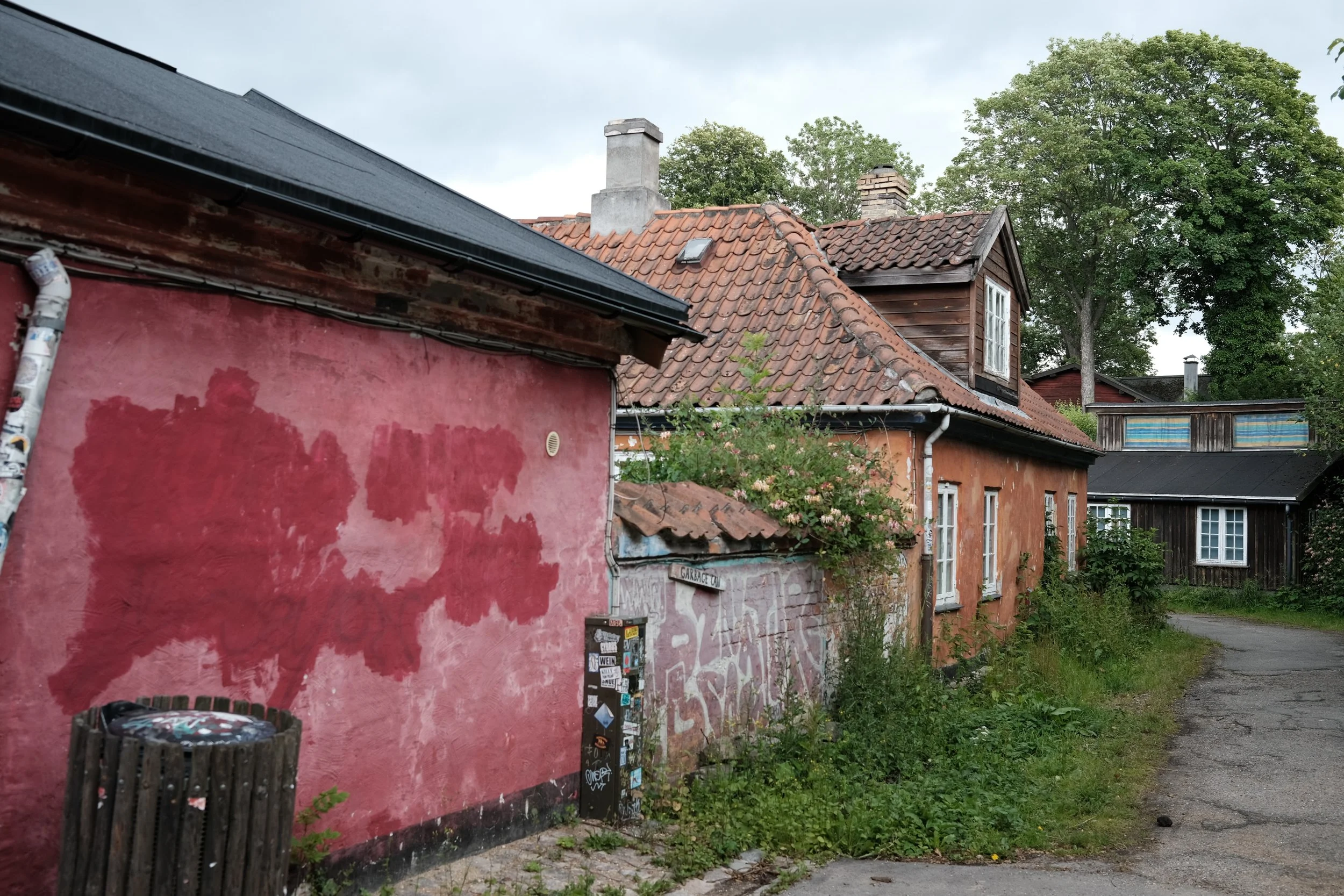 DSCF1429.JPG