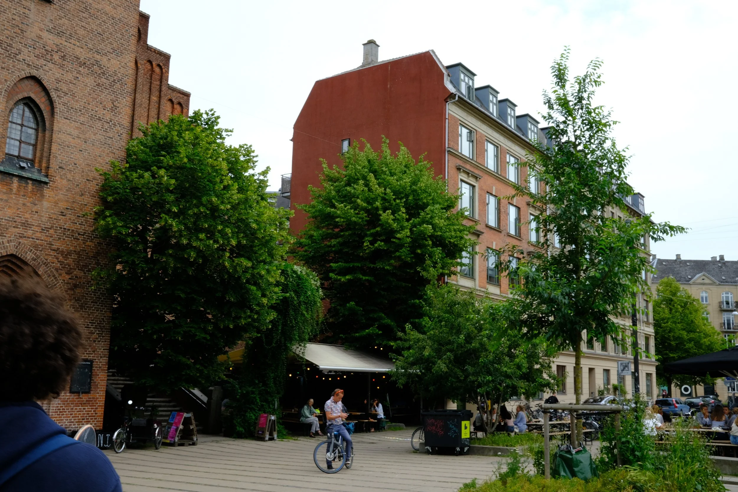 DSCF1649.JPG