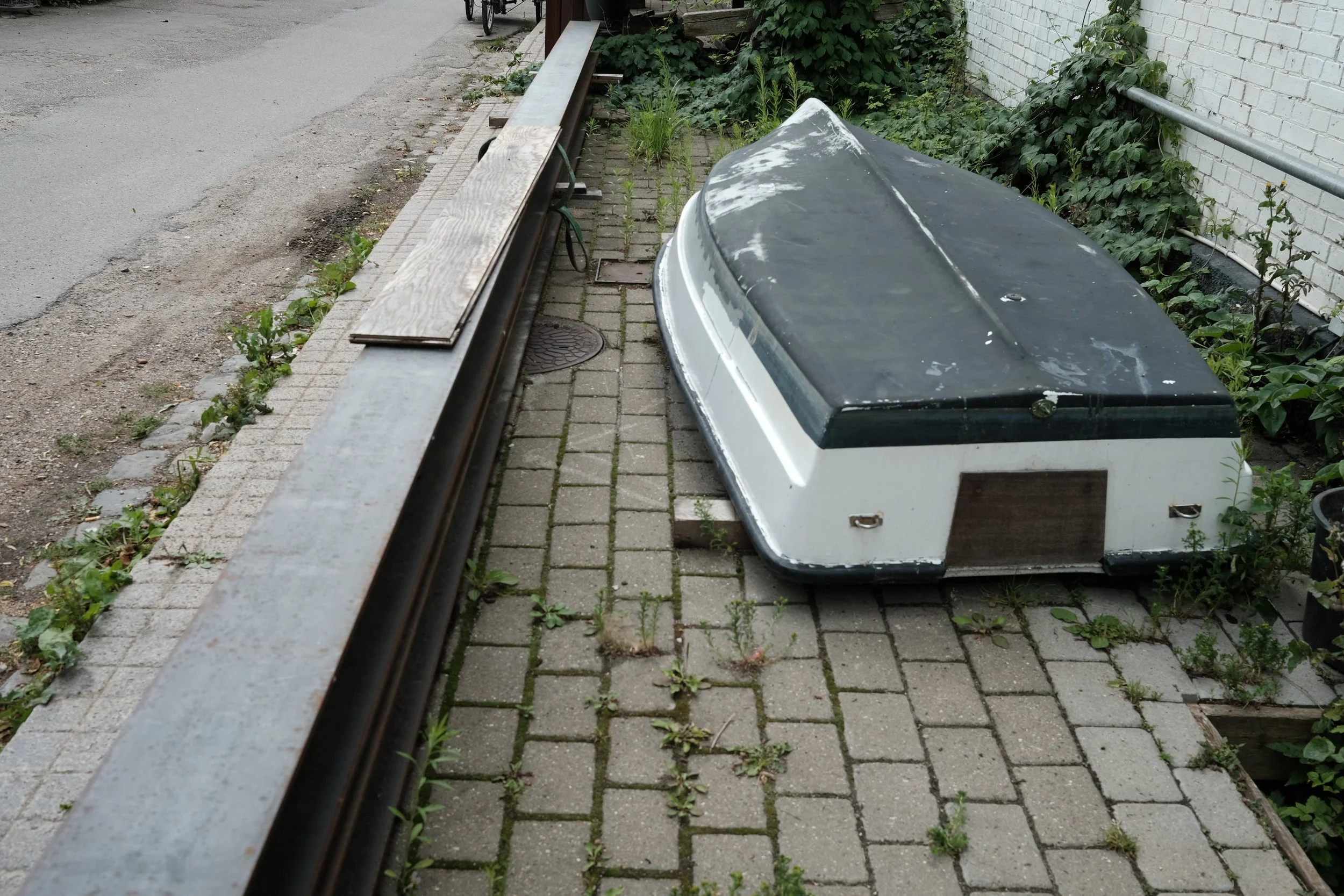 DSCF1351.JPG