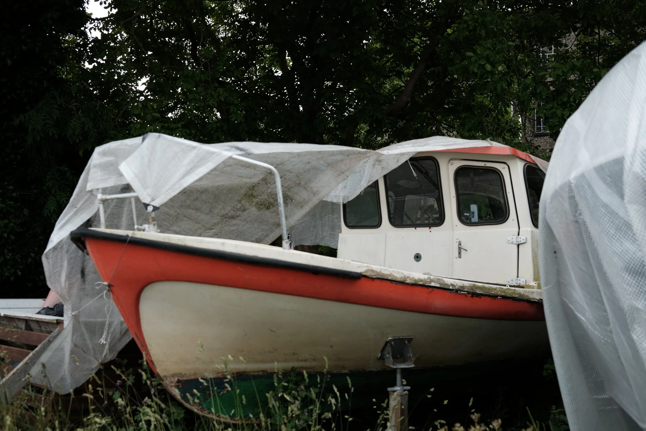 DSCF1418.JPG
