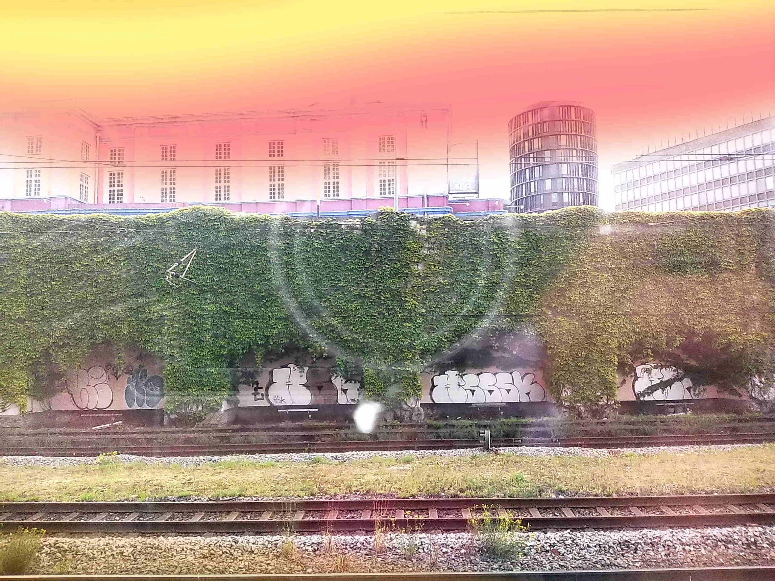 DSCF0242.JPG