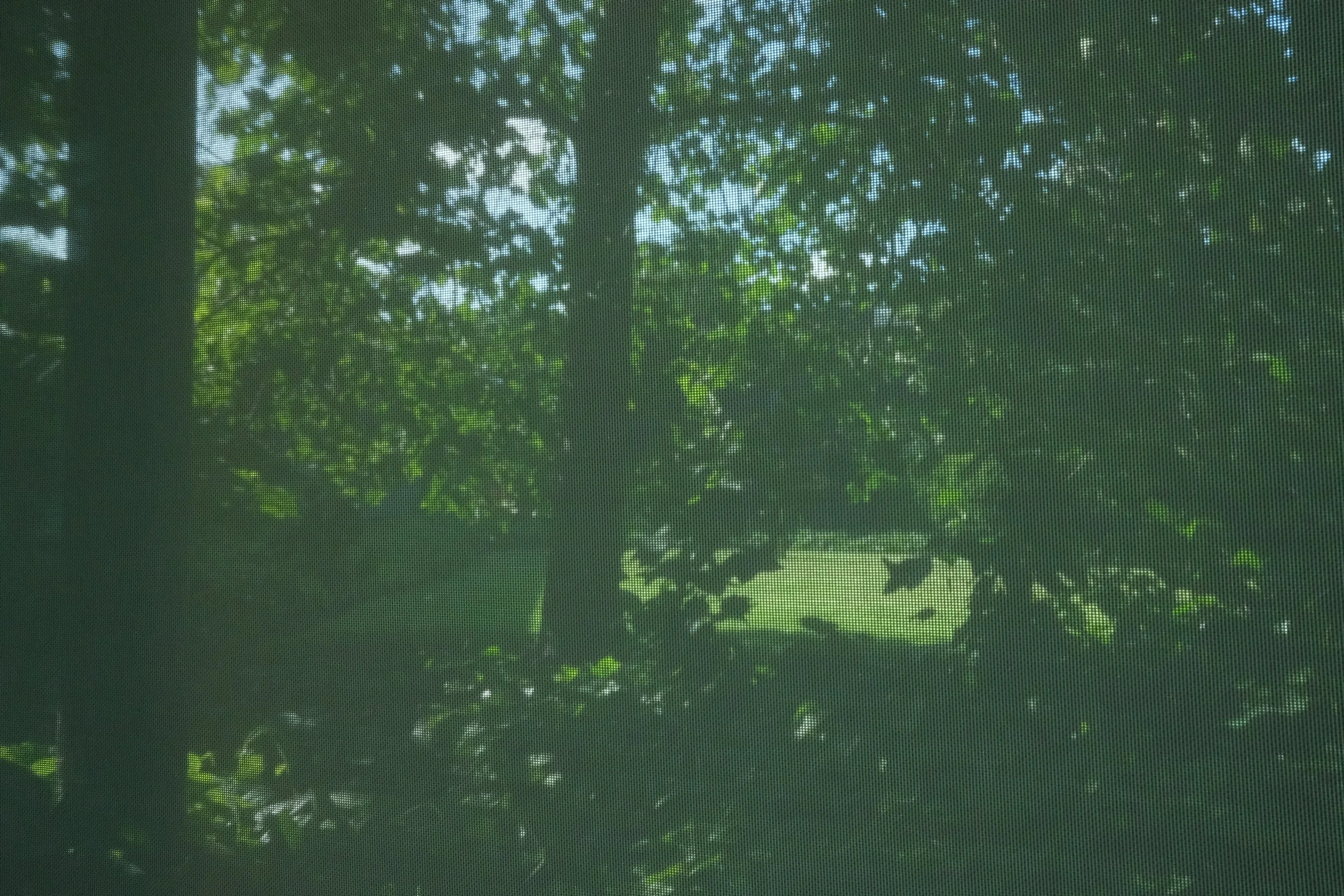 DSCF1588.JPG