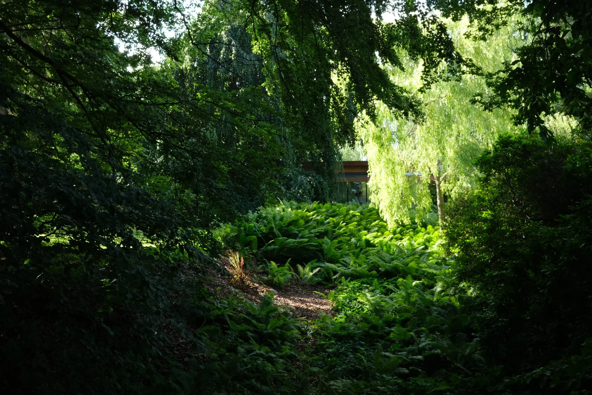 DSCF1525.JPG