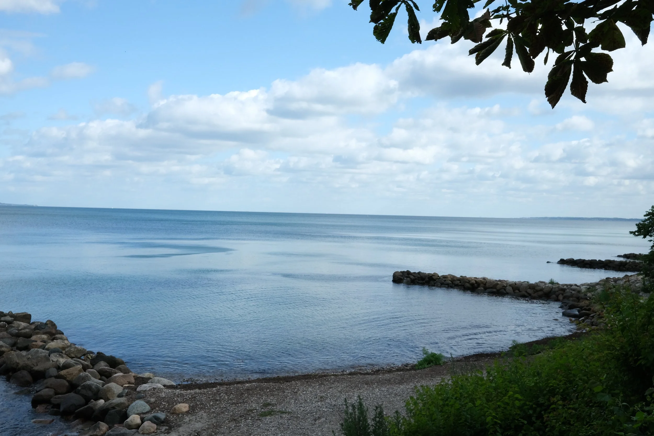 DSCF1508.JPG