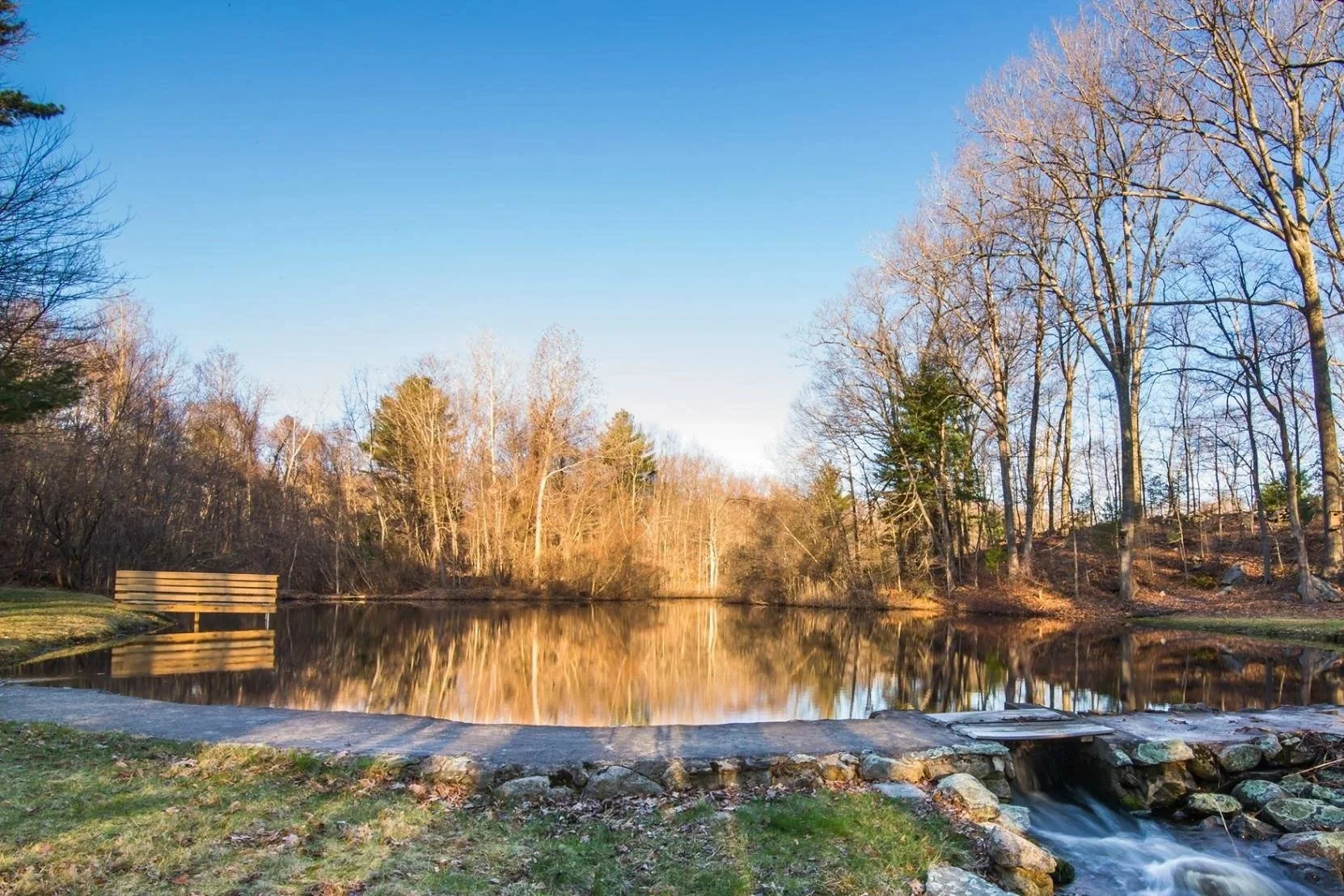 A tranquil landscape featuring a small pond surrounded by leafless trees and a grassy area. The water reflects the clear blue sky and the trees, with a small waterfall at the pond's edge. A wooden bench is placed to the left, facing the pond.