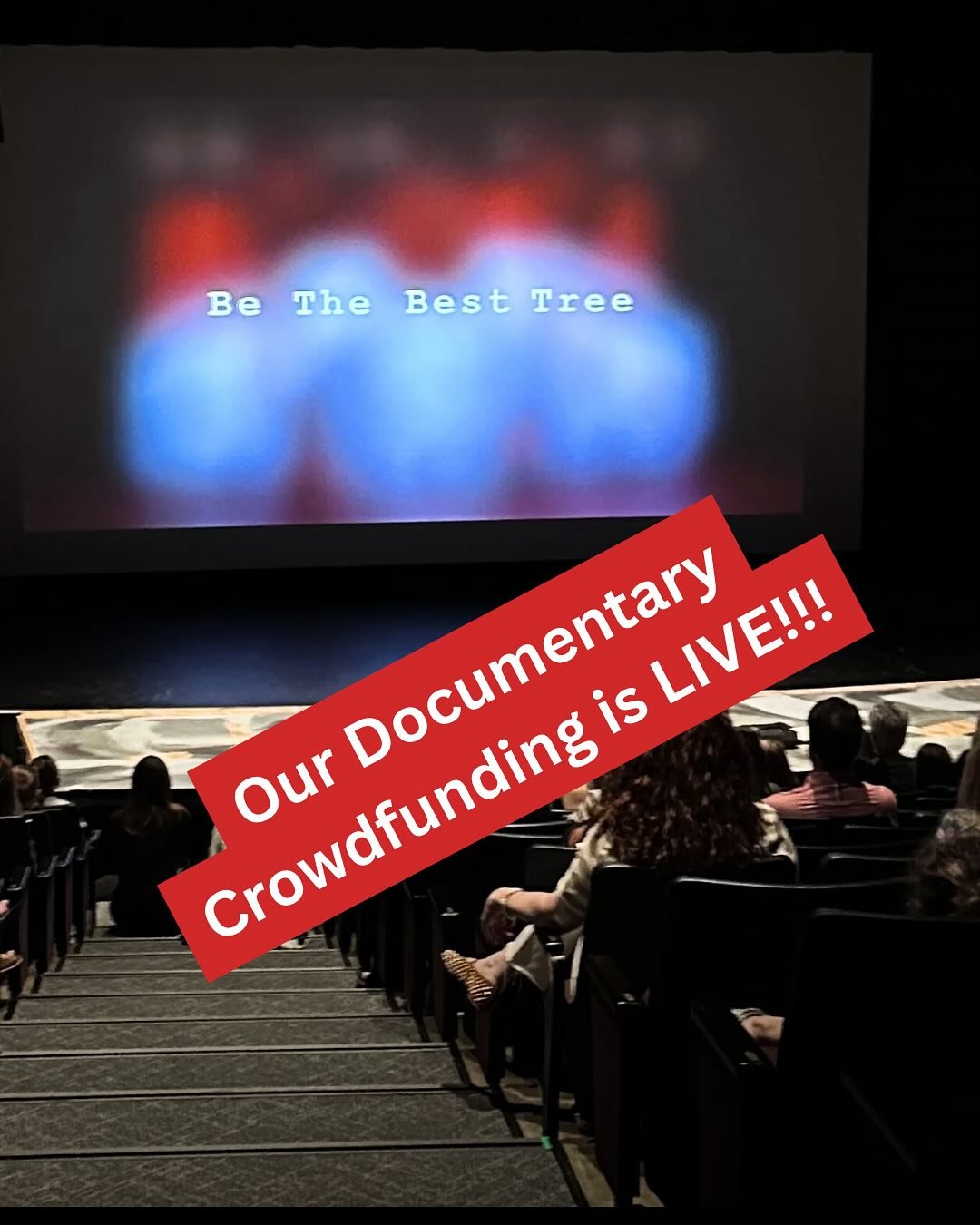Our Crowdfunding Campaign is Officially LIVE!!! ❤️

✨YAY!✨

Please support us by following our project on Seed &amp; Spark! (Link in bio) 🌳

#bethebesttree 

#seedandspark #documentary #crowdfunding #theater