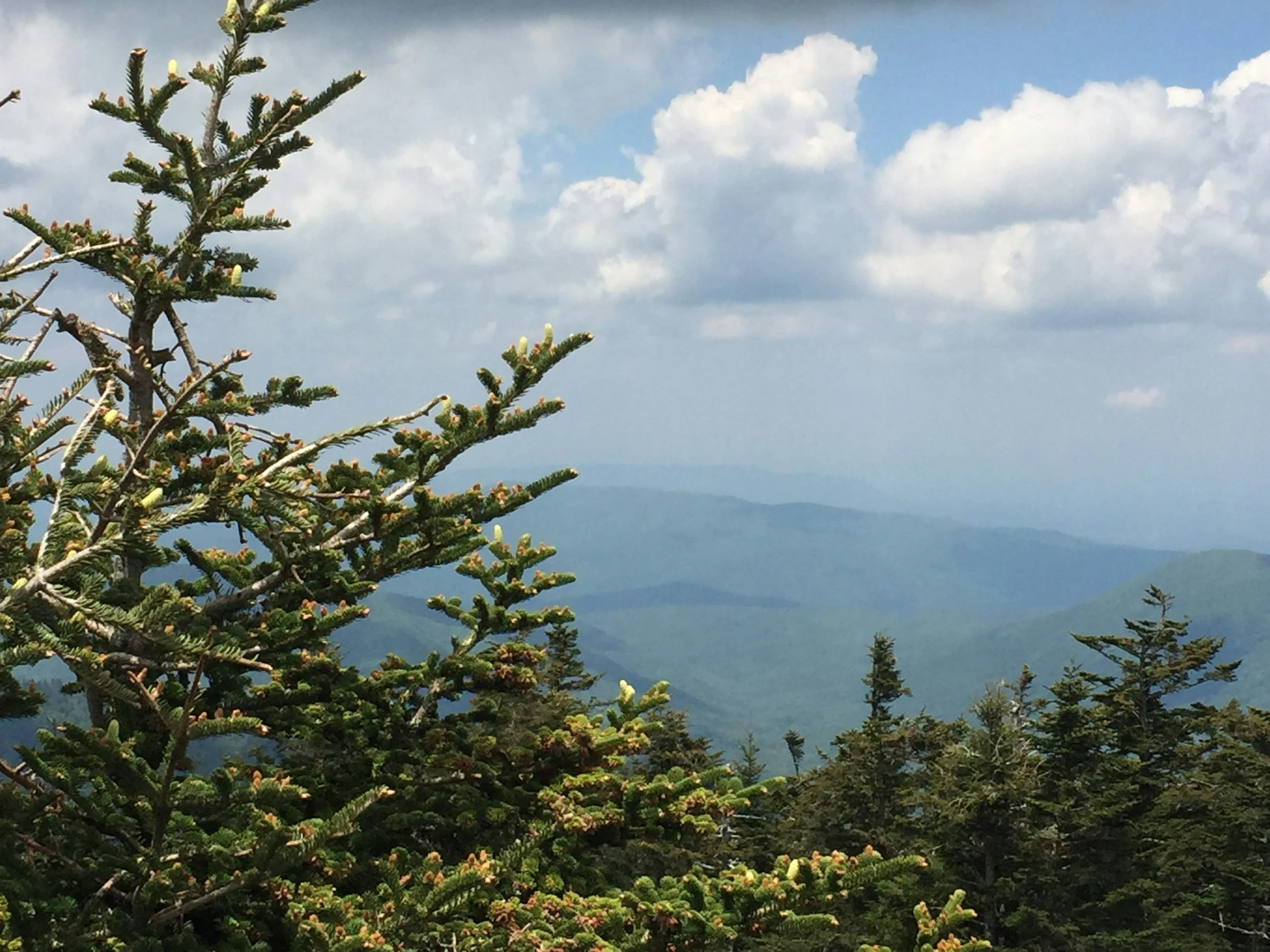 "Smokey Mountains Colors Tour"