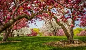 Fall at the MN Arboretum &amp; Orchard Tour