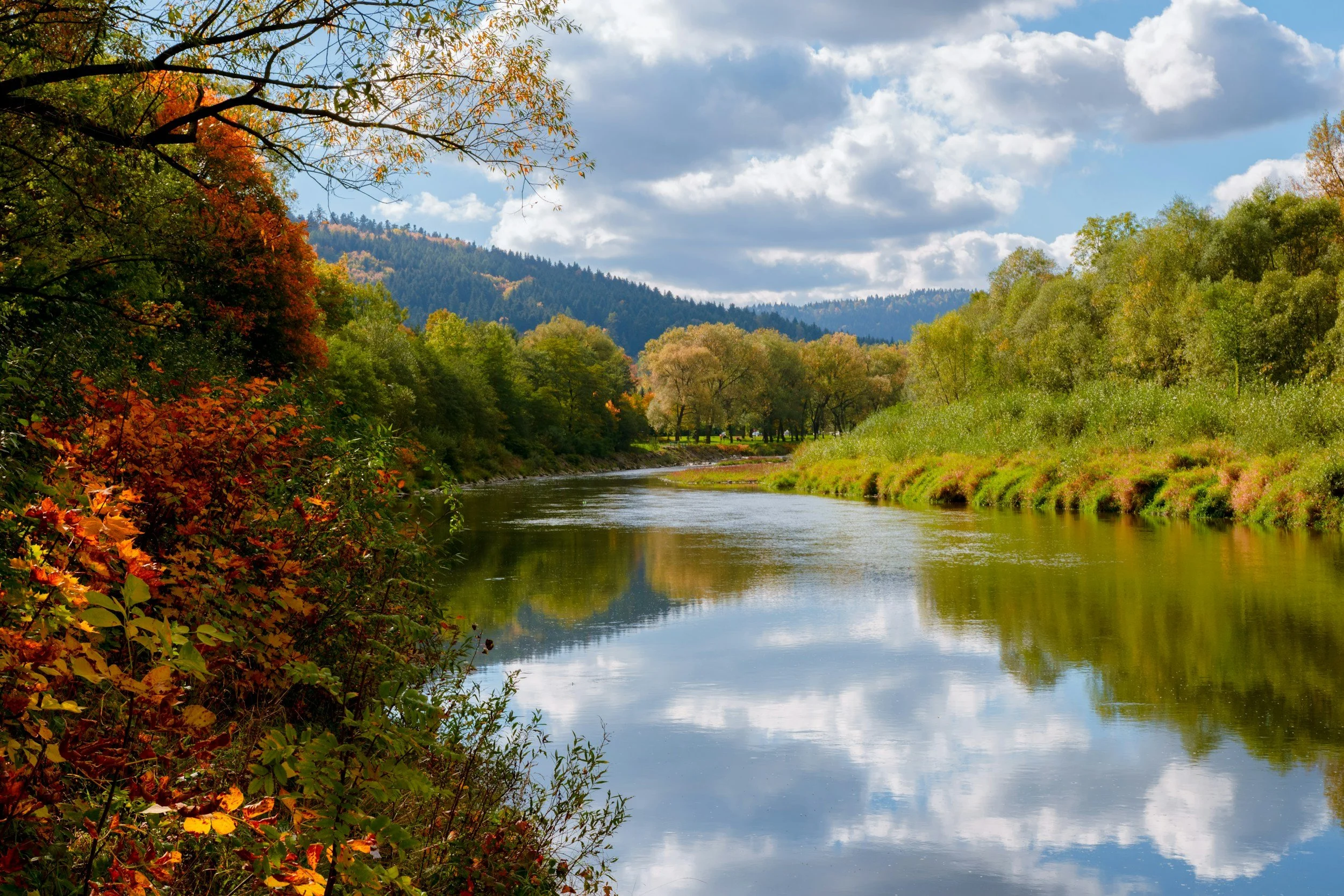 Fall Colors Boat Cruise