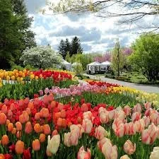 Spring at the Minnesota Arboretum
