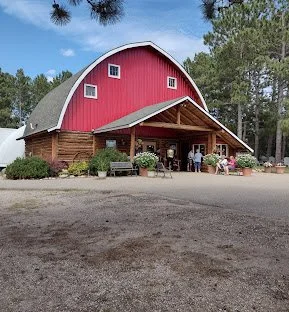Music in the Woods at Jasper’s Theatre