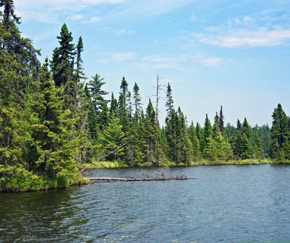 “Northern Exposure Days” - A Northern MN Getaway