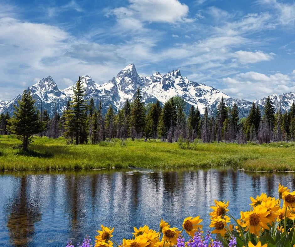National Parks - Yellowstone, Theodore Roosevelt & Grand Tetons