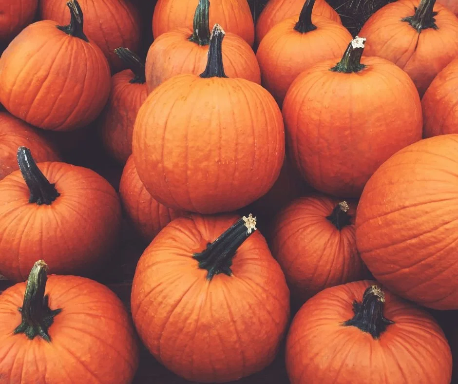 "Pumpkin Time in Door County, WI"