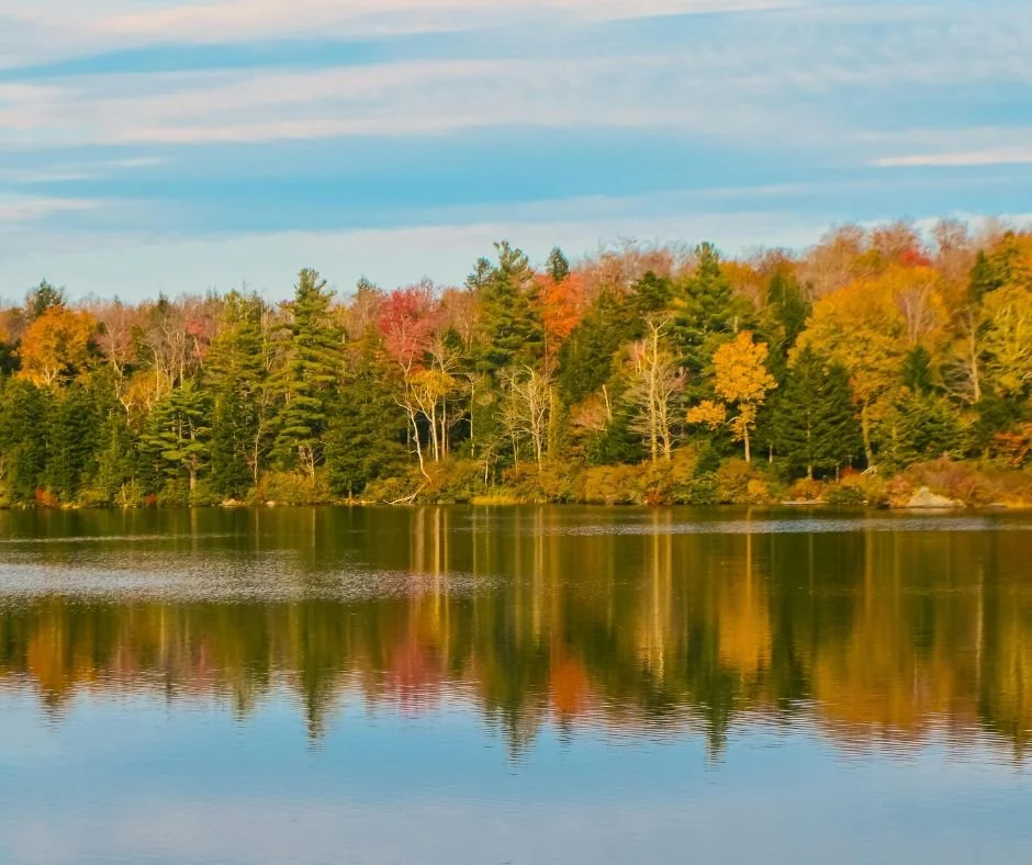 Fall Colors of Gull Lake on the Northstar Yacht