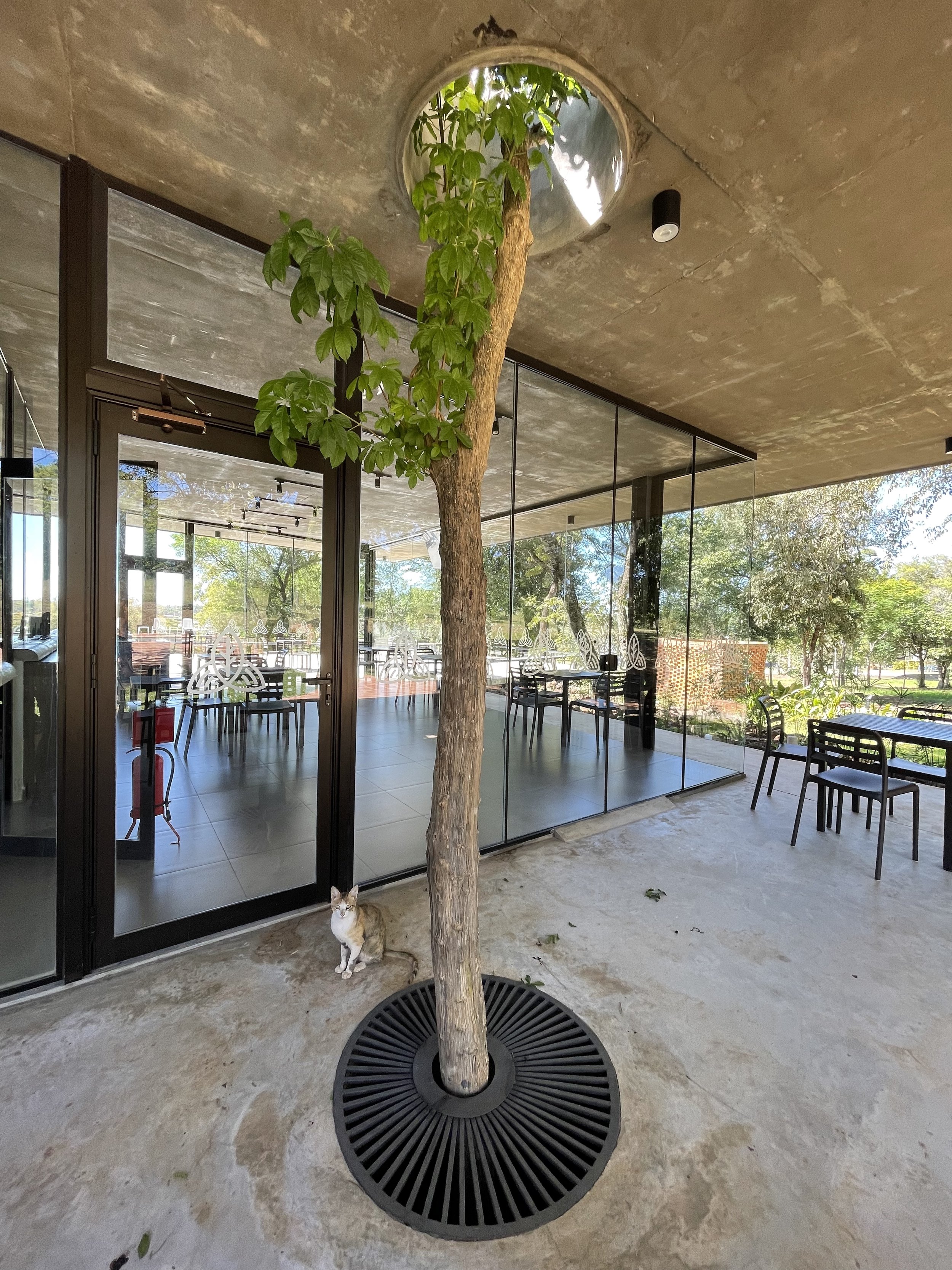 ARQUITECTAVA Vista aérea de un paisaje rural con áreas verdes, casas, caminos y un parque con piscina en el centro.