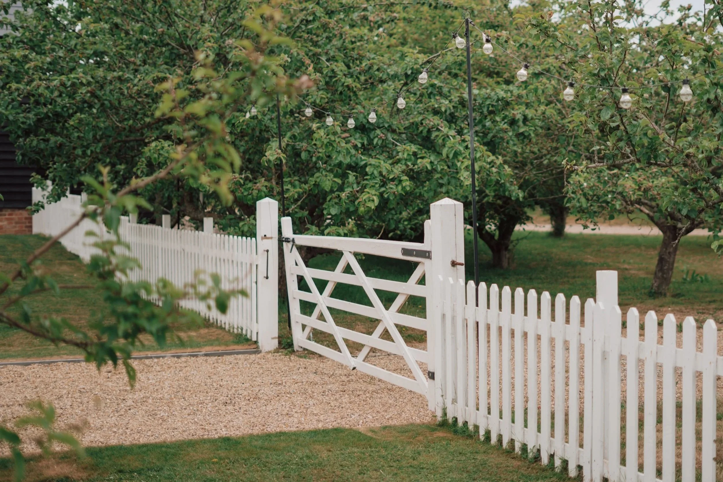 Essential Guide to Photography Documentary in 2025