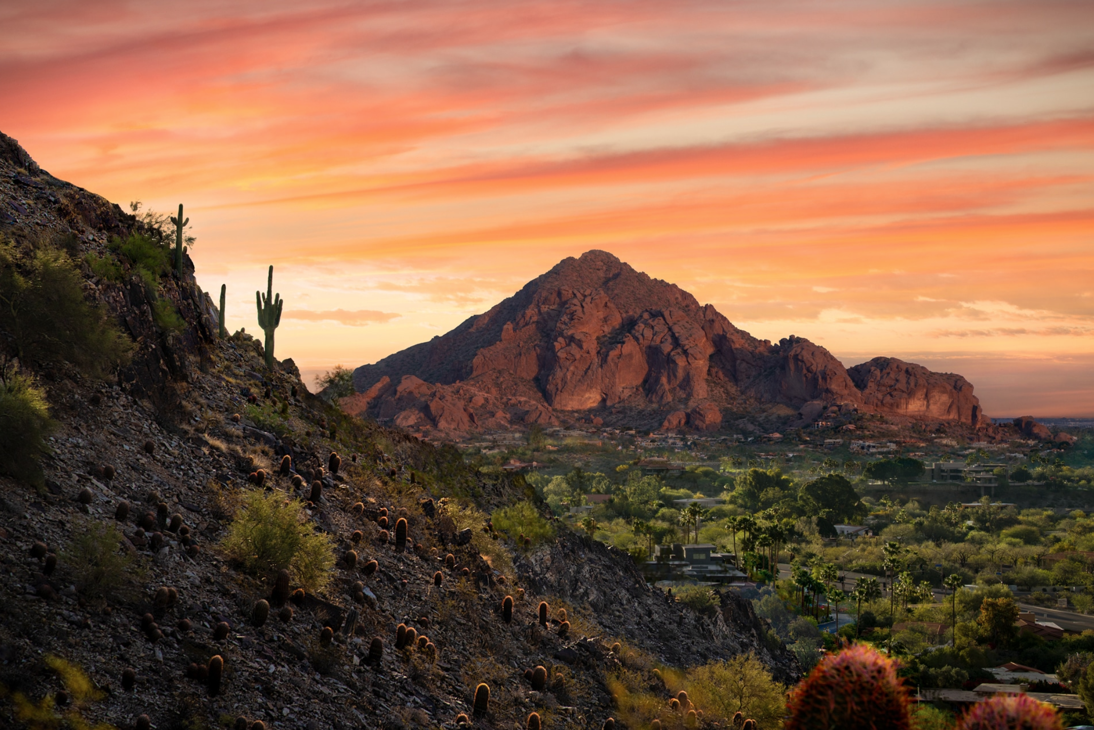 Camelback.png