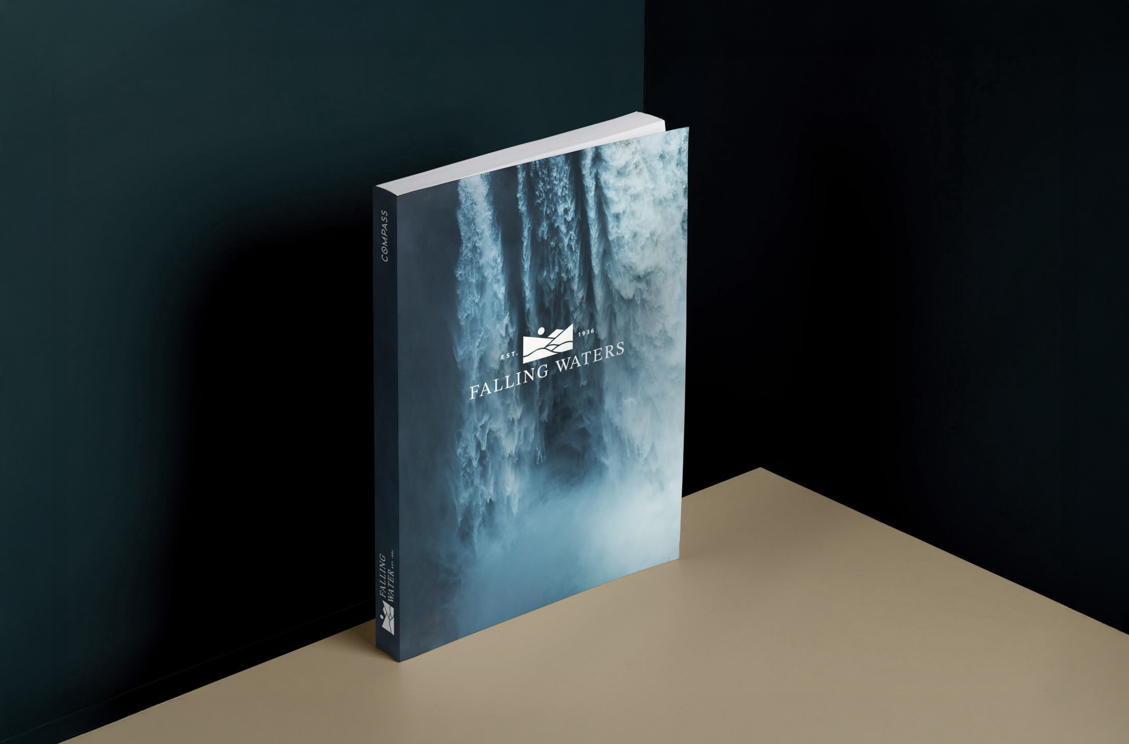 falling waters-logo-kevin-sherry.png