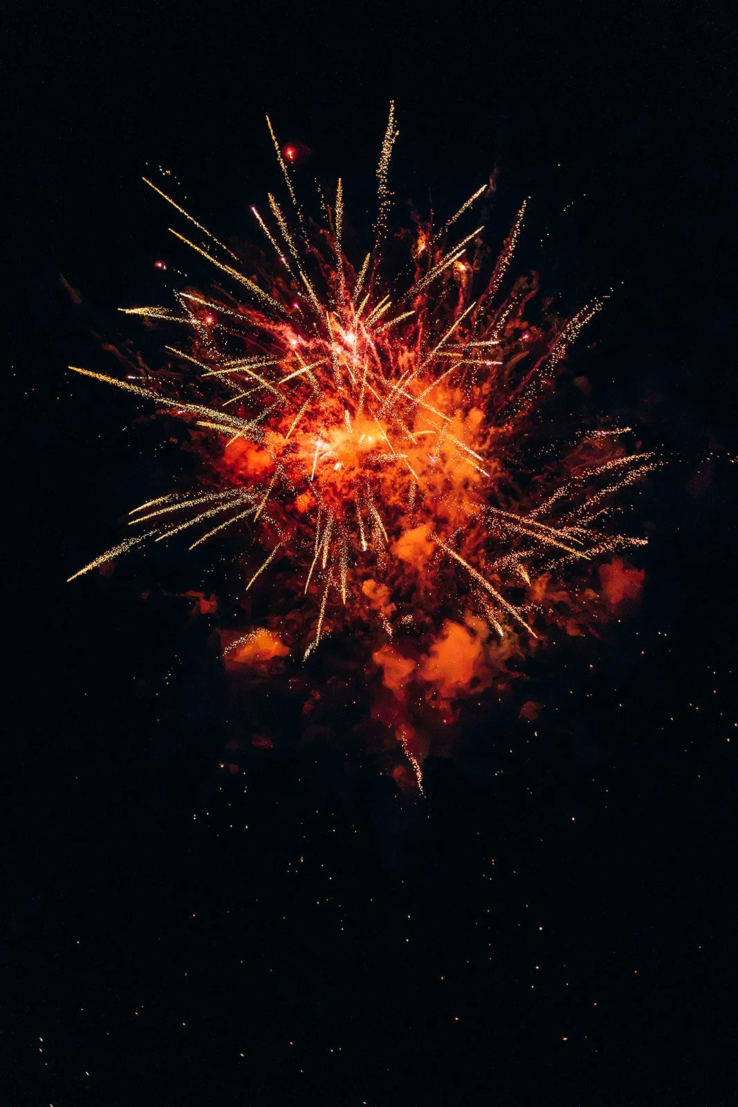 WelcomeDinner113.jpg