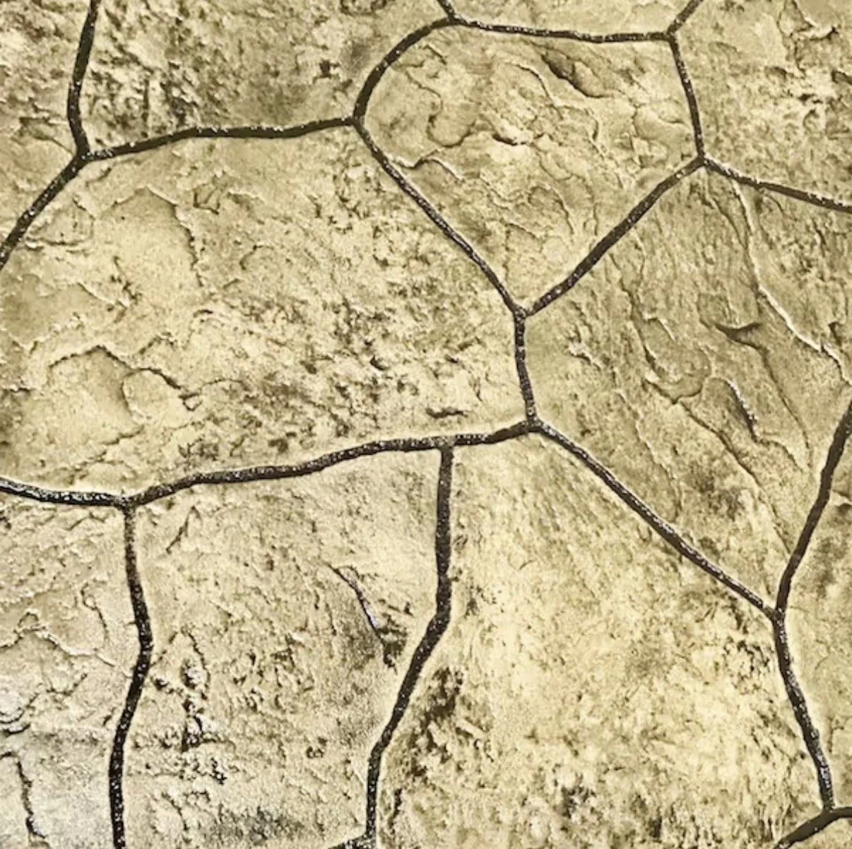 Chesapeake Random Stone