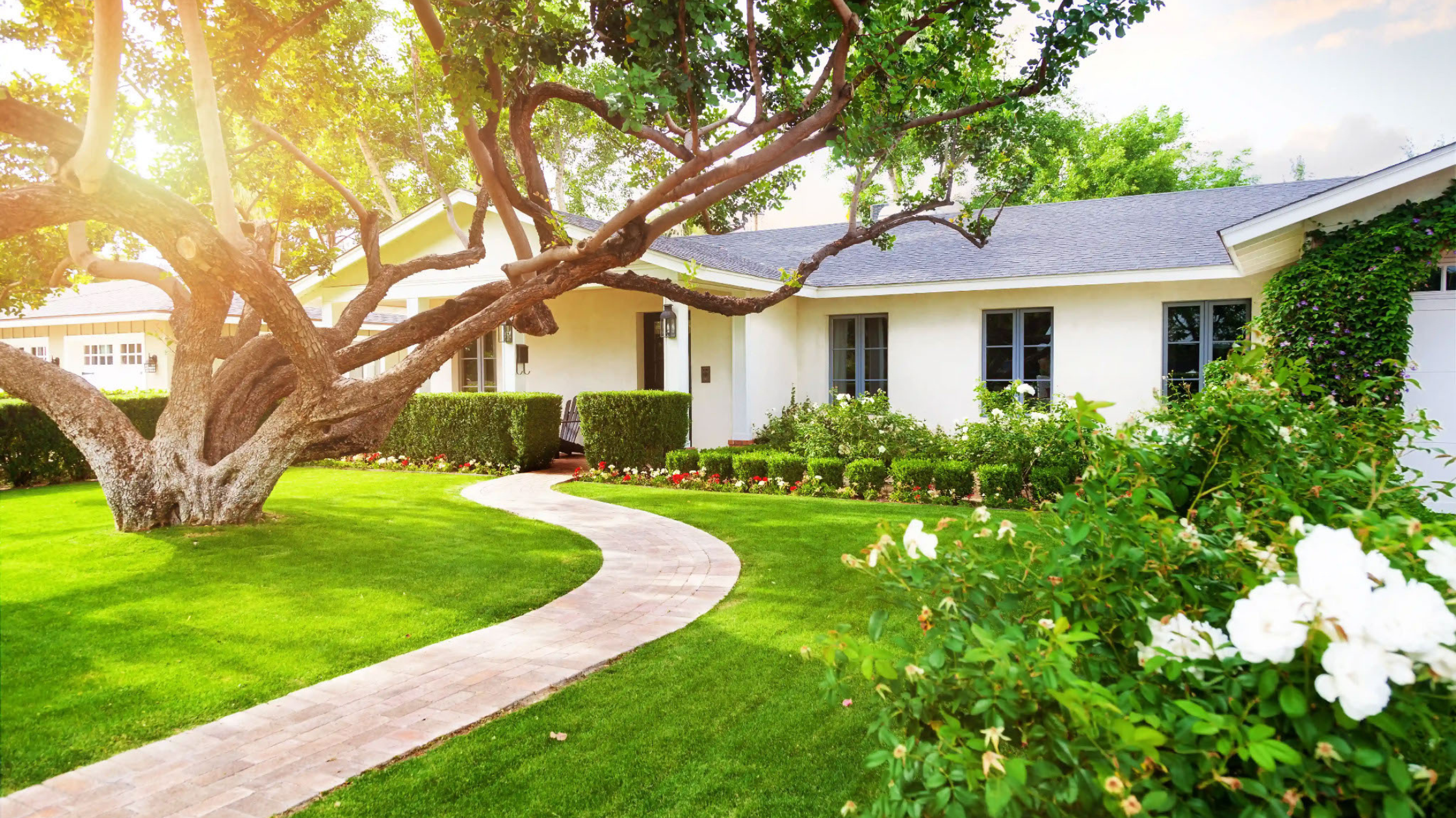 Curb Appeal Outside, Comfort Inside: Why May is the Best Month to "Plant" Your Energy Savings