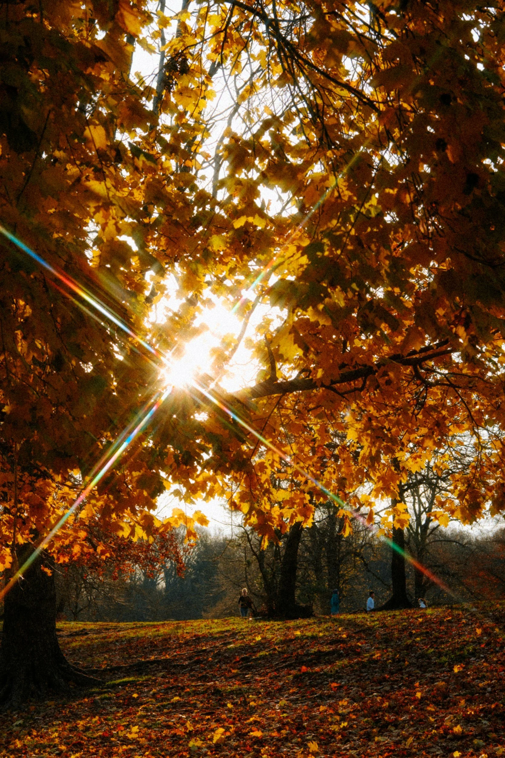 Fall Equinox 2025