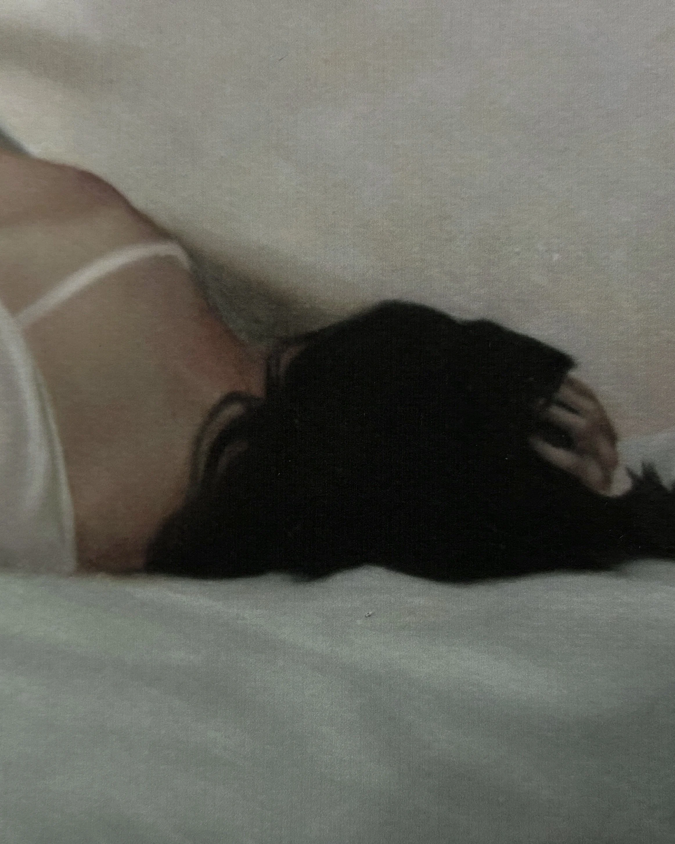 In the Dreaming_Closeup 3.jpg