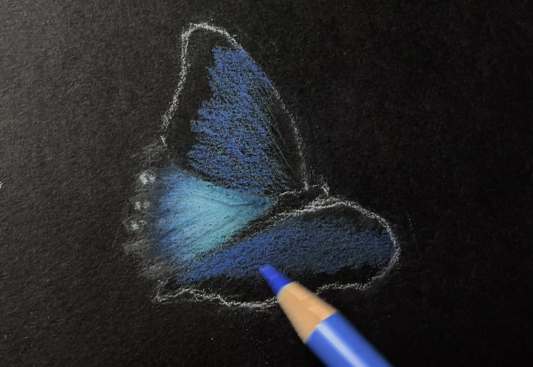 An artist draws a blue butterfly on black paper using colored pencils.