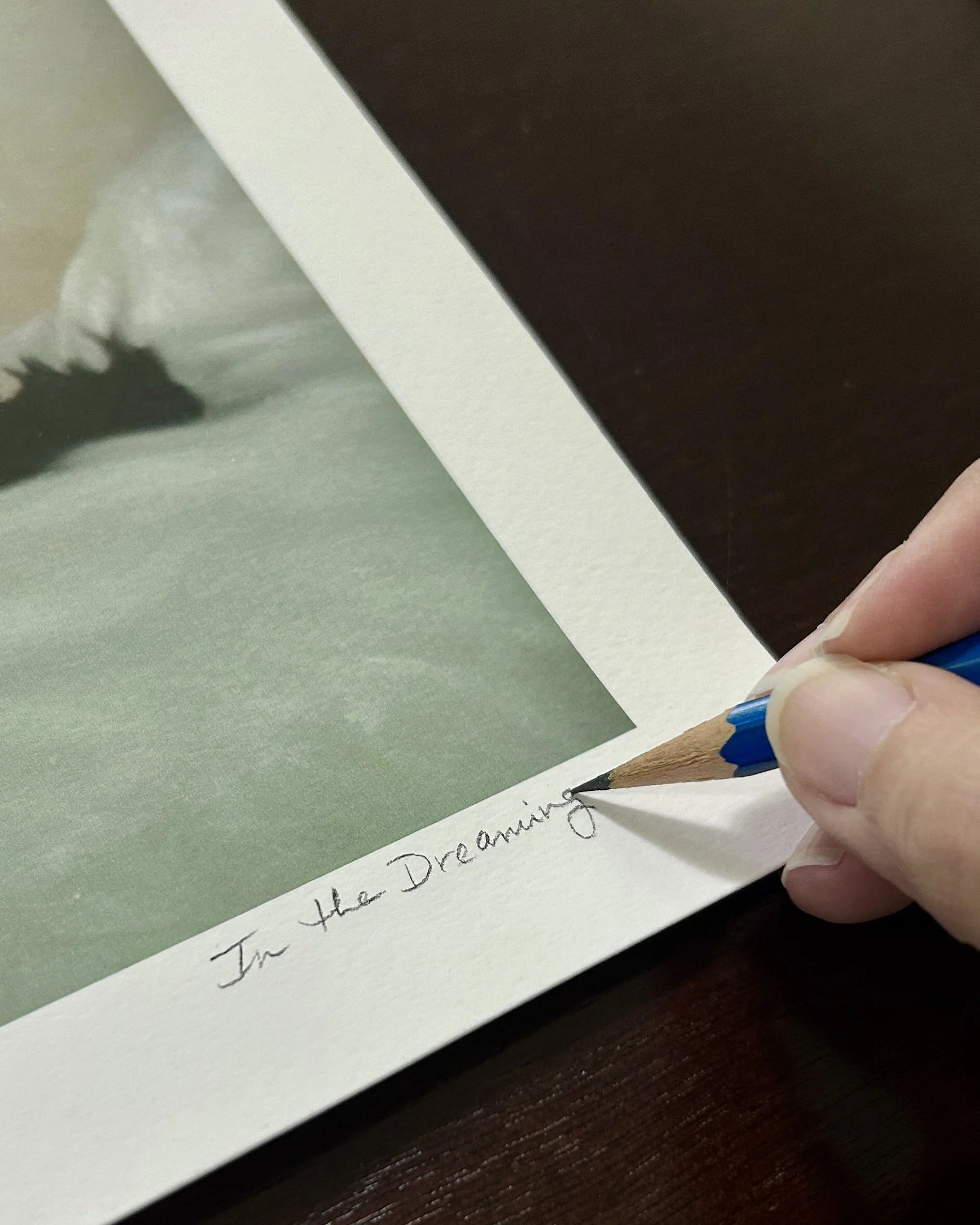 In the Dreaming_Signing print.jpg