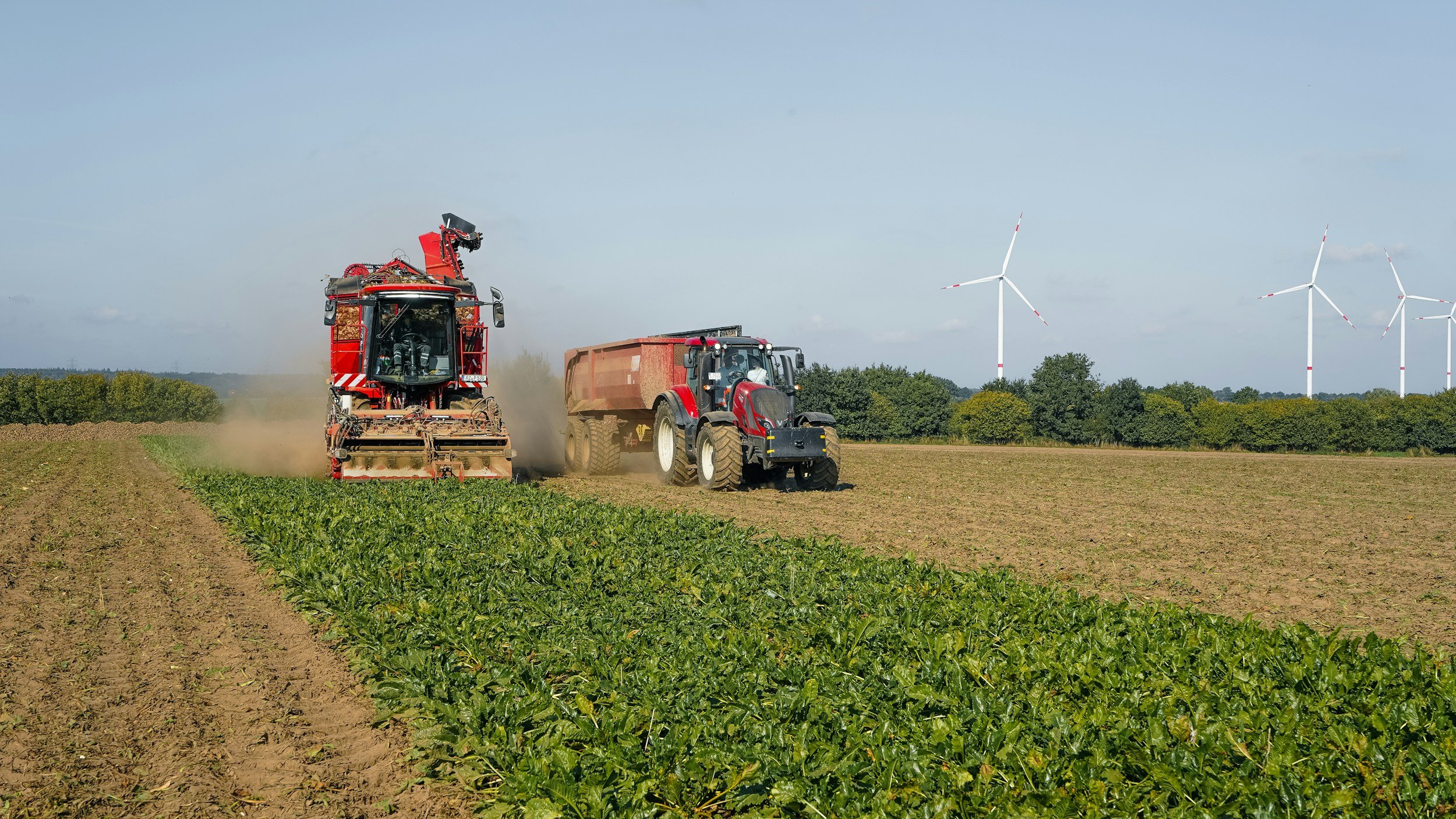 Farmer uses an agricultural machine to harvest crops in a field, with wind turbines in the background.