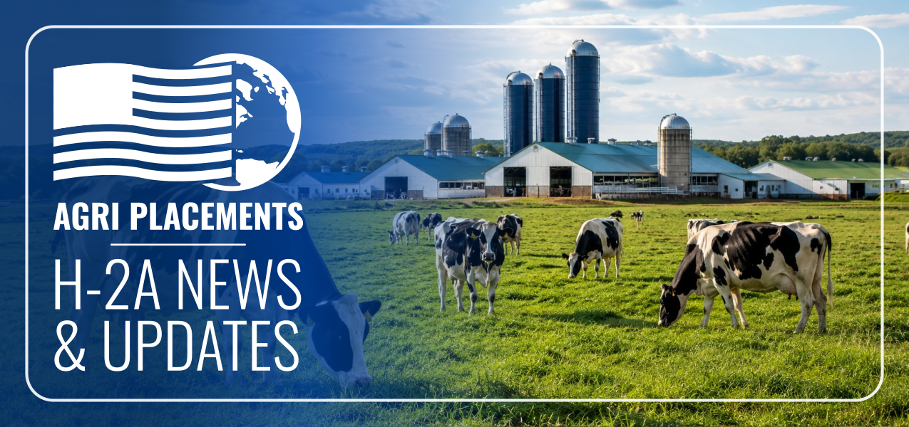H-2A IS COMING TO THE DAIRY INDUSTRY