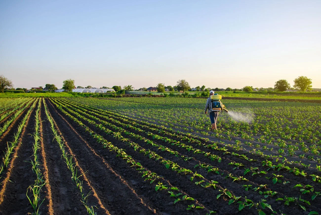 Farmer spraying crops in a green field at sunset