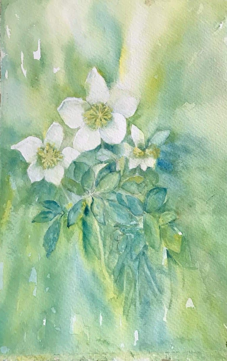 Watercolor painting of white flowers and green leaves against a soft green background.
