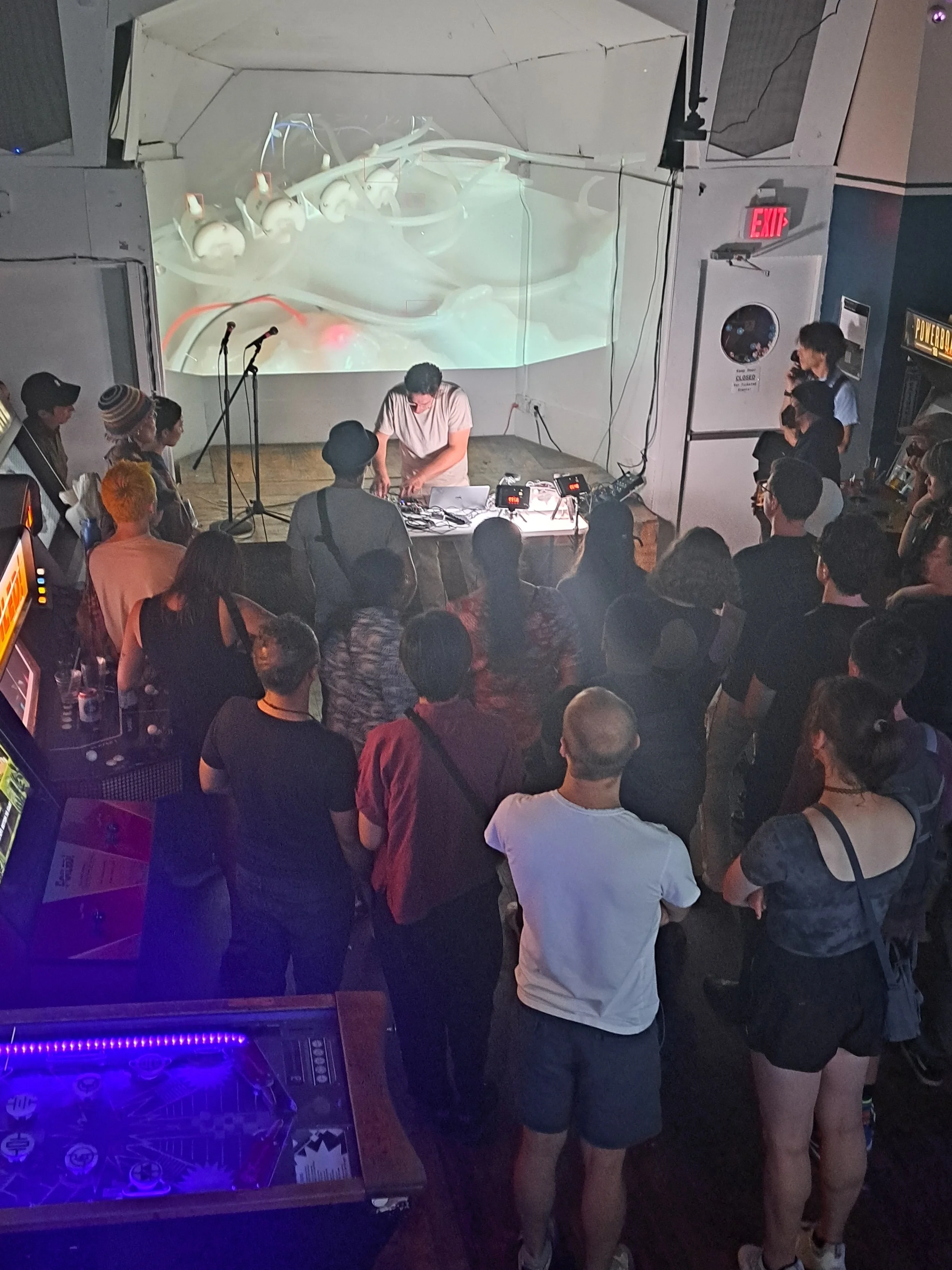 digitalized typhoon at wonderville 2023