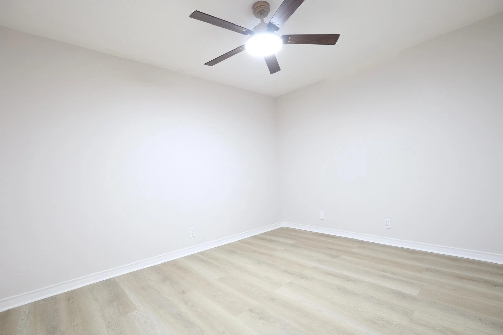 WhatsApp Image 2026-01-21 at 6.00.14 PM.jpeg