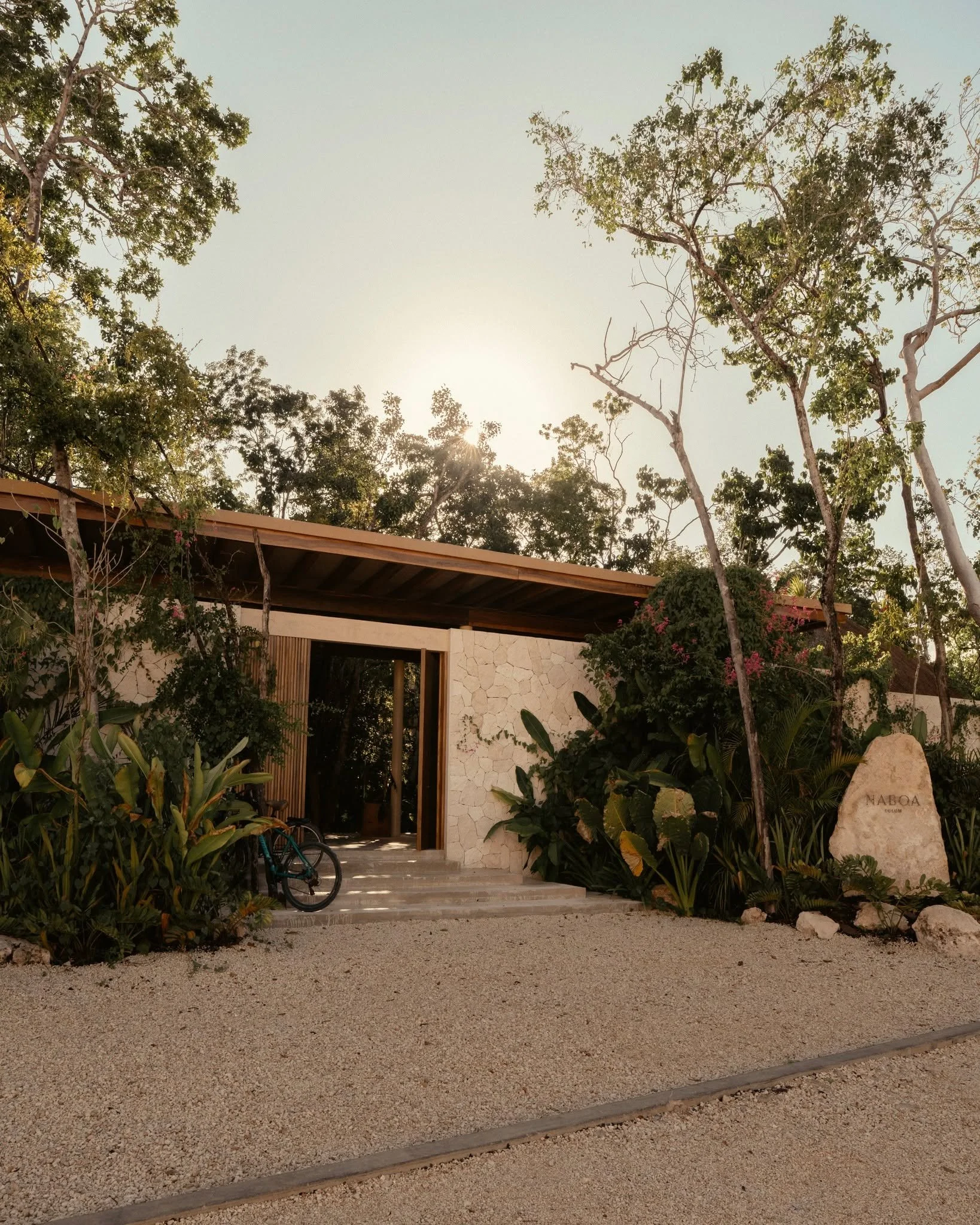 Where roots meet walls, and design listens to nature.
NABOA&rsquo;s embrace begins here. 
#NaboaDesign #SoulfulLiving