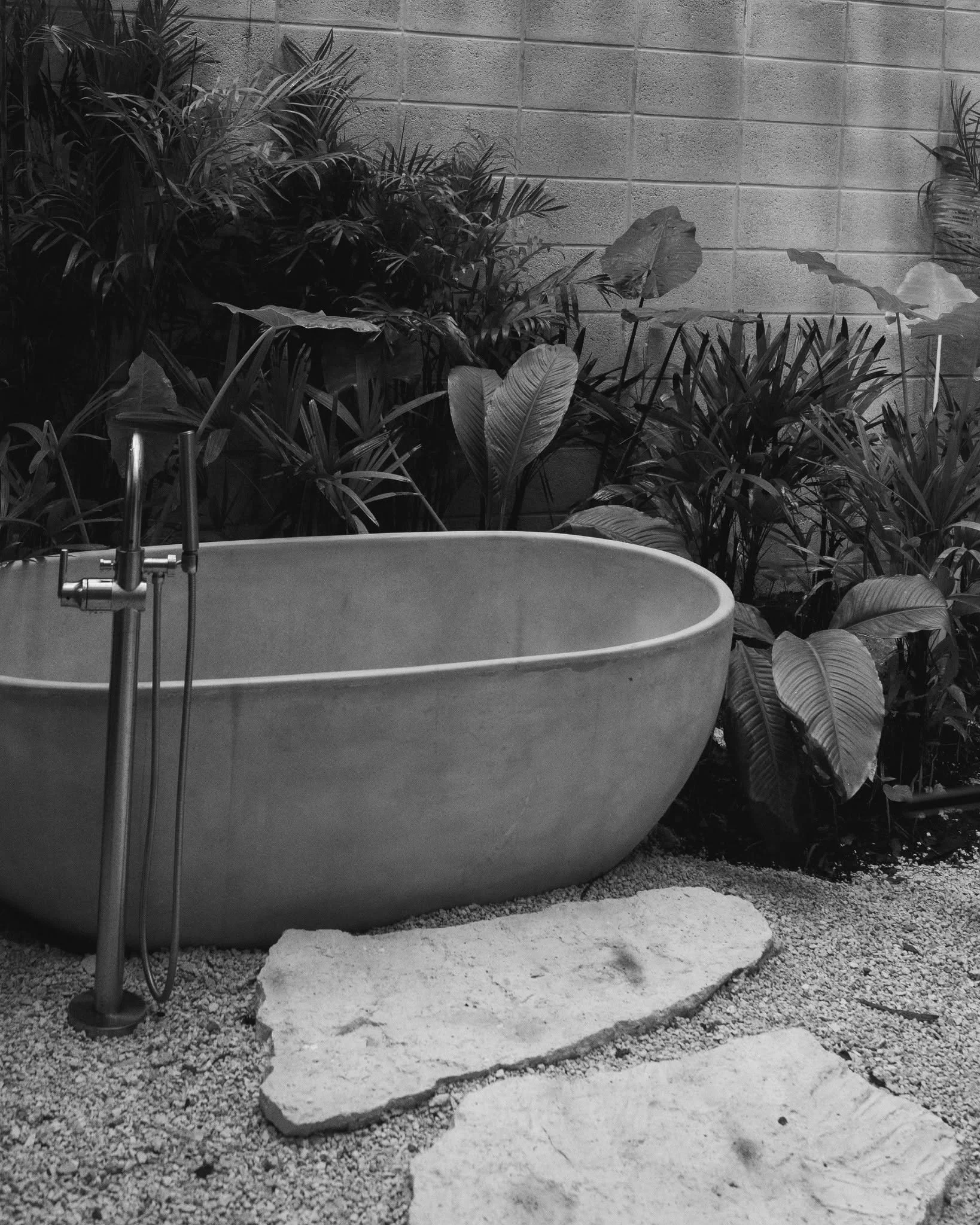 New cycles root quietly.
Nature reminding us to slow, root, and renew.
The unfolding is already here.
#NaboaTulum #LivingWithNature