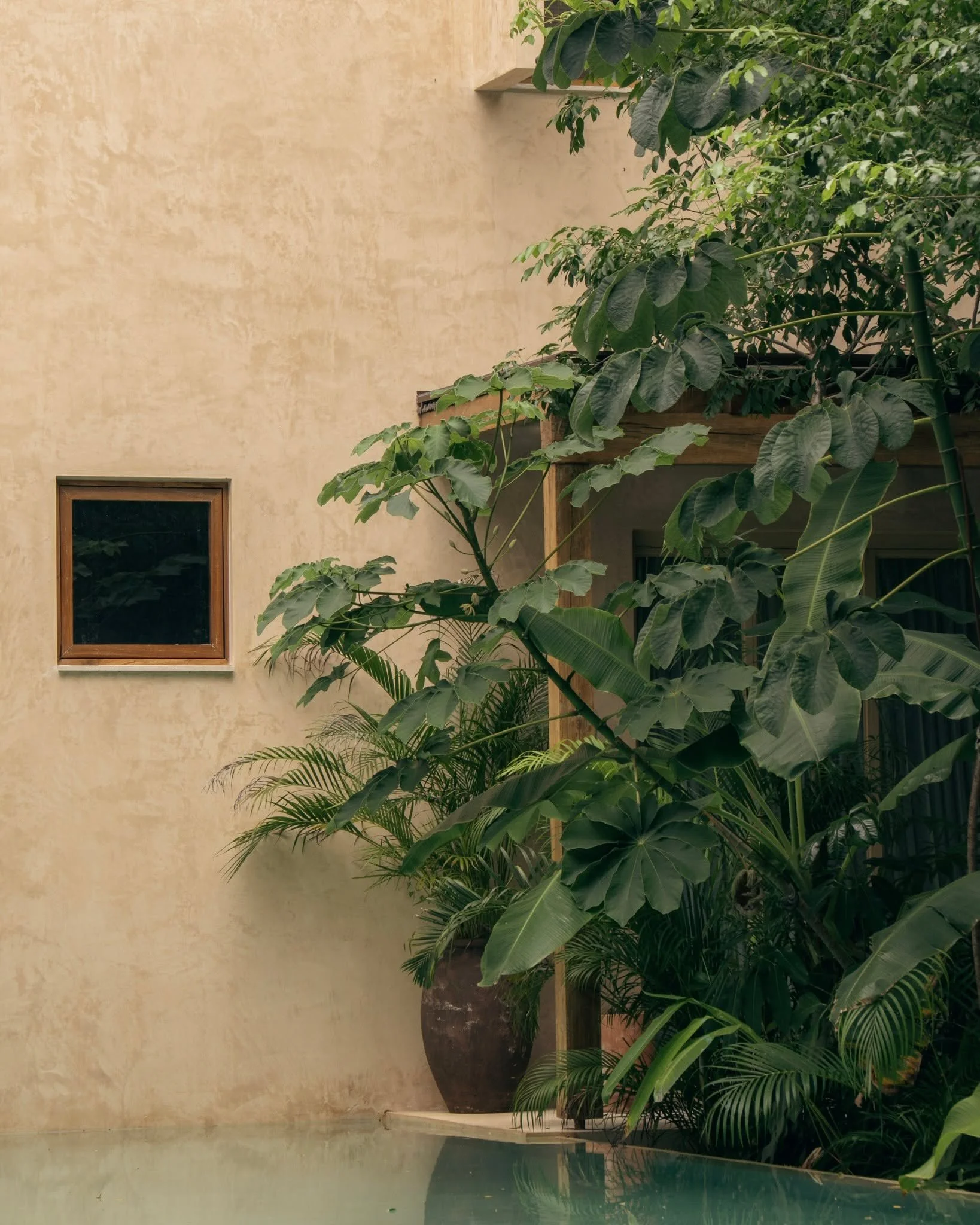 Leaves threading themselves through stone and light.
A sanctuary where design dissolves into landscape.