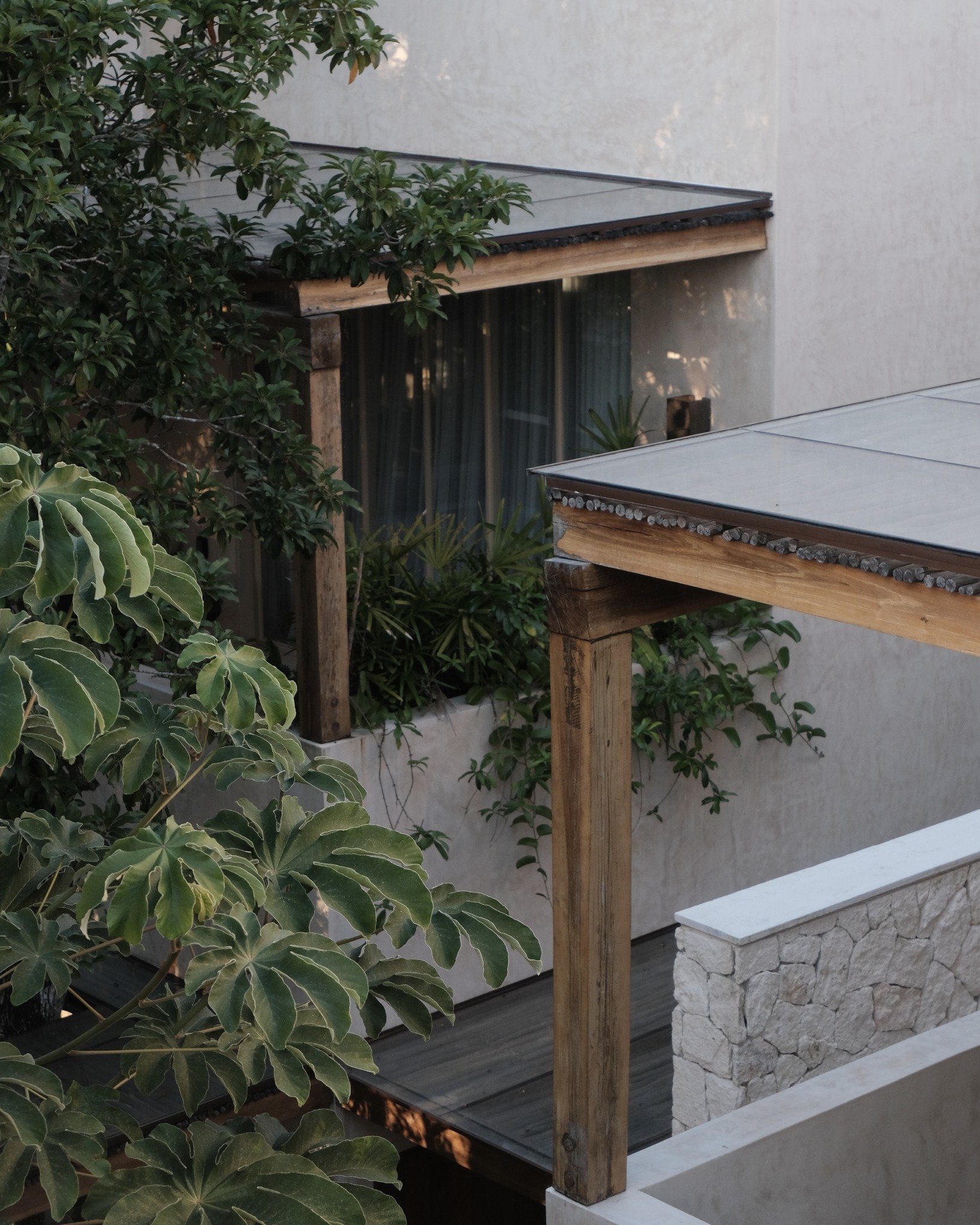 A space that meets you as you are.
Where staying turns into belonging.
#JungleVibes