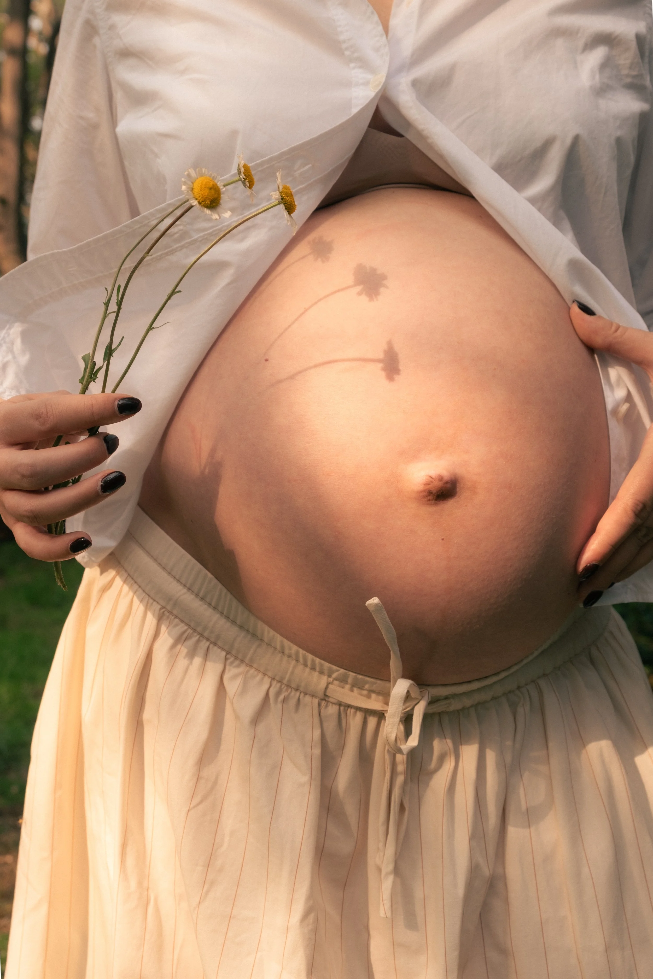 A pregnant woman holding a small bouquet of daisies, with her large, bare belly exposed. The shadow of the daisies is cast on her belly.