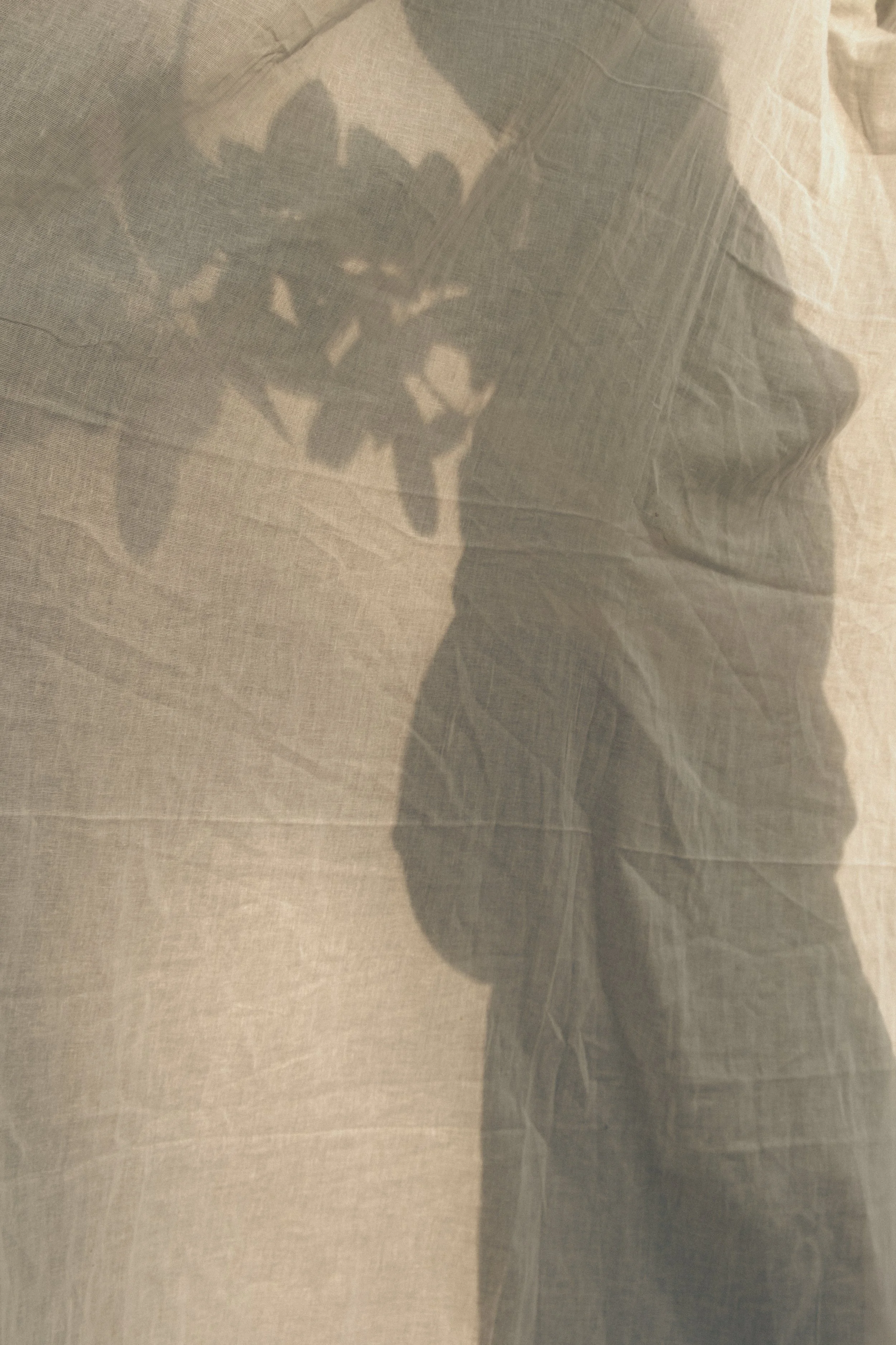 Shadow of a person holding a camera with a lens on a textured fabric surface, with a plant shadow nearby.