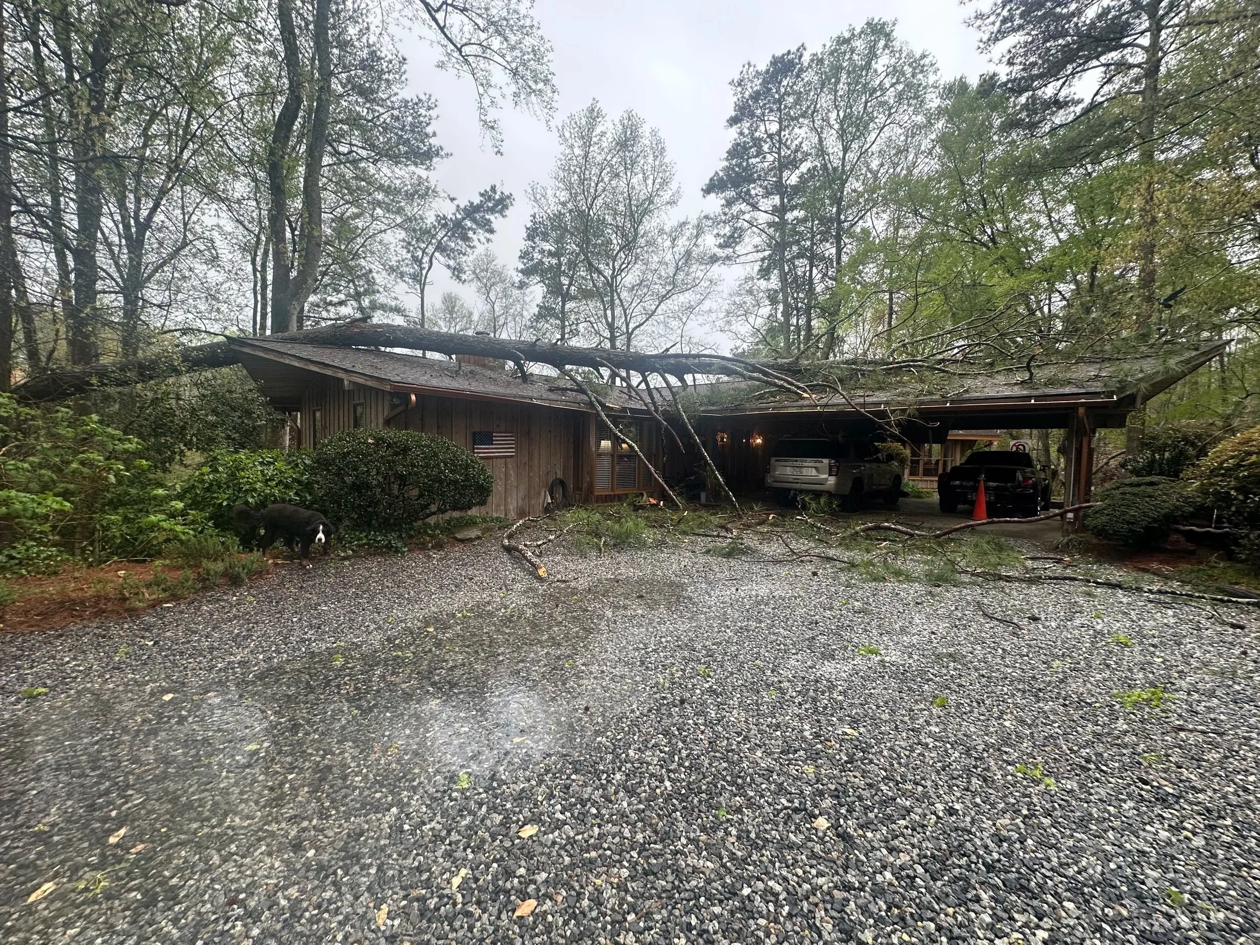 Repair and restore home after extensive tree damage.  (Before)