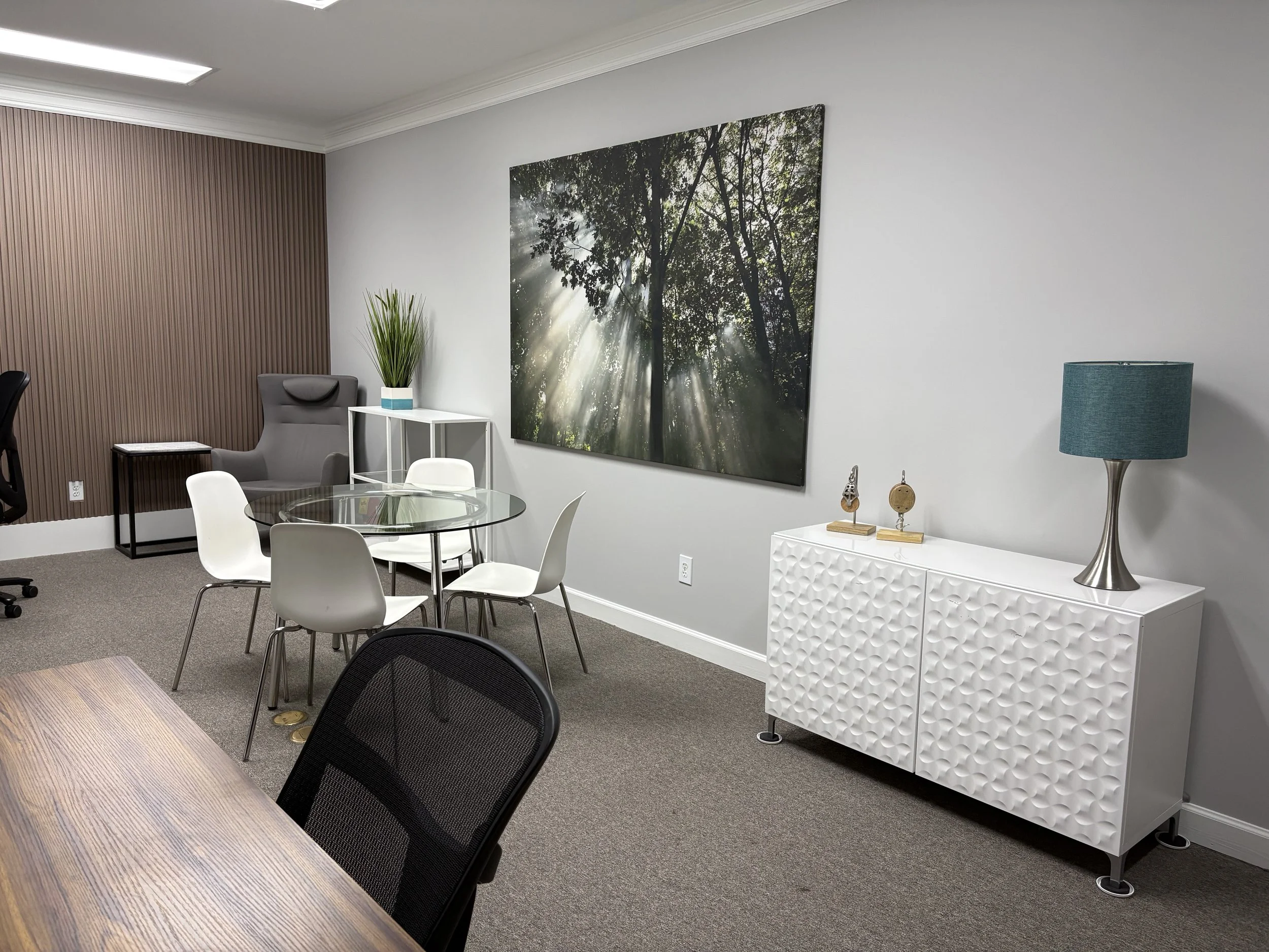 Roswell Office Remodel